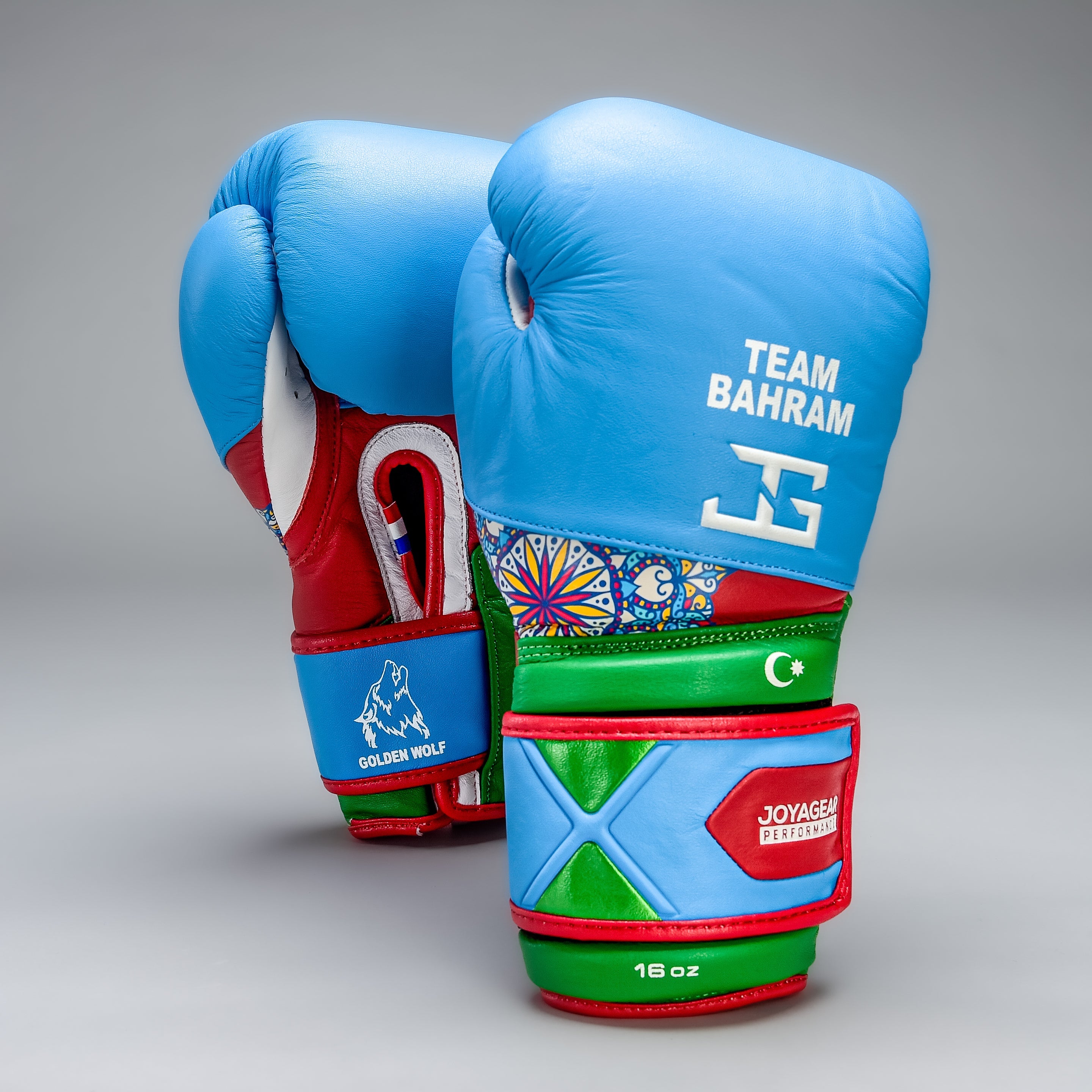 Joyagear X Bahram Rajabzadeh Performance Boxing Gloves