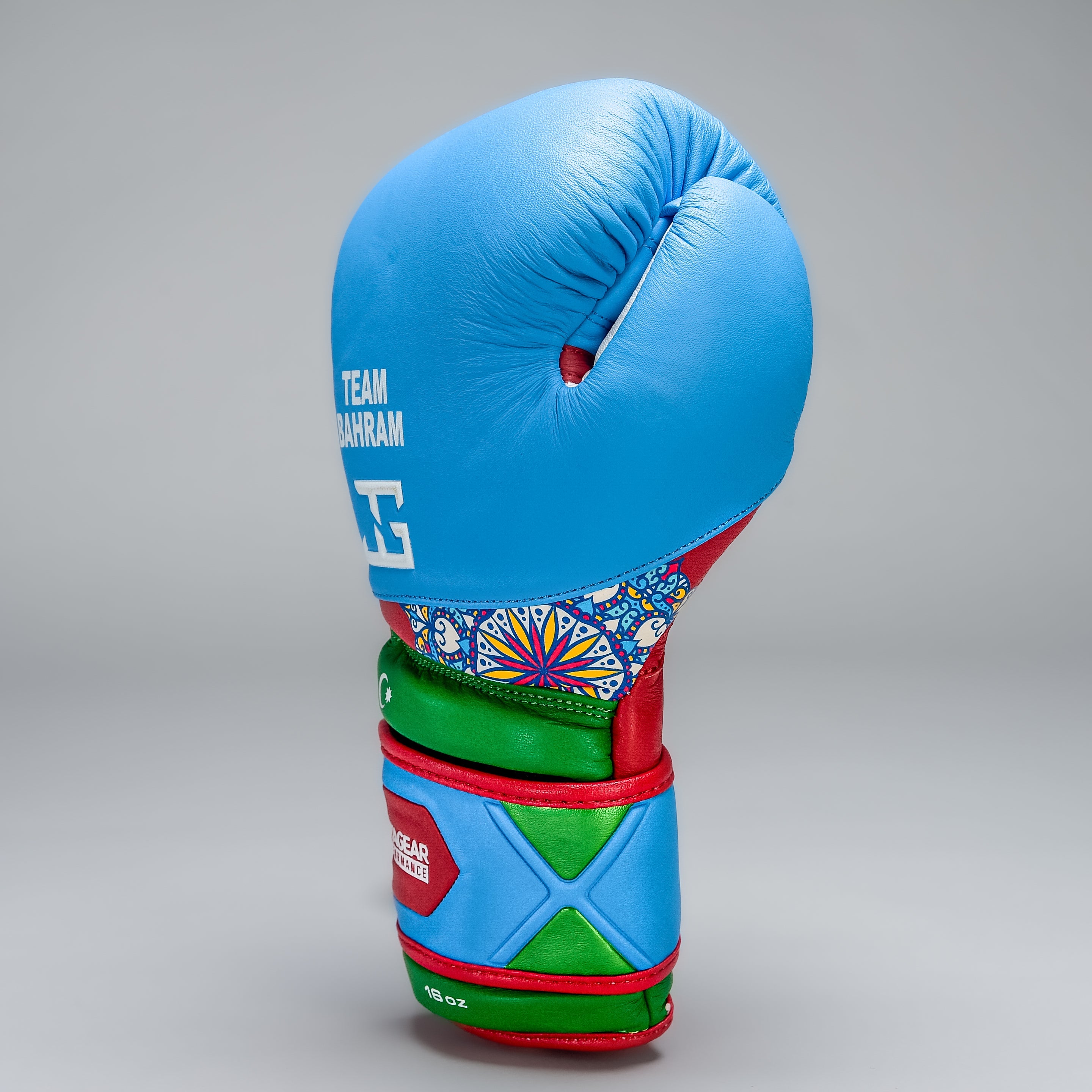 Joyagear X Bahram Rajabzadeh Performance Boxing Gloves