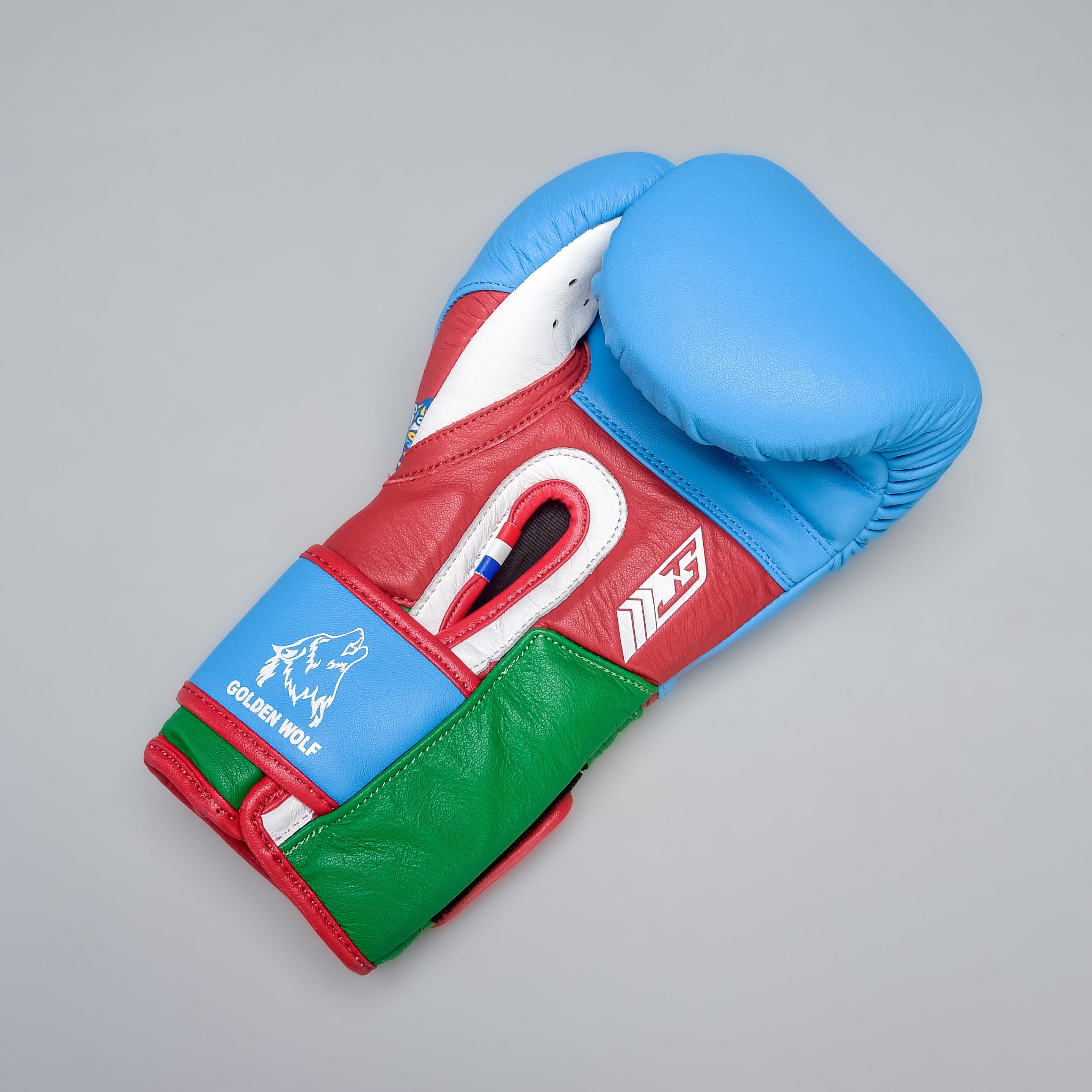 Joyagear X Bahram Rajabzadeh Performance Boxing Gloves