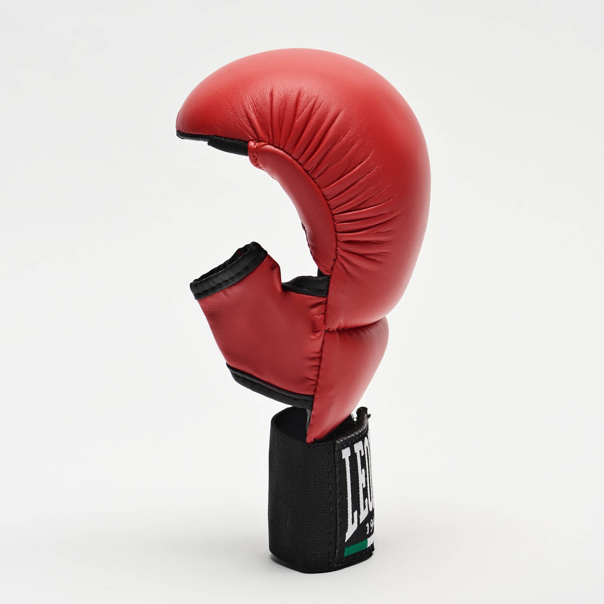FIT/KARATE GLOVES