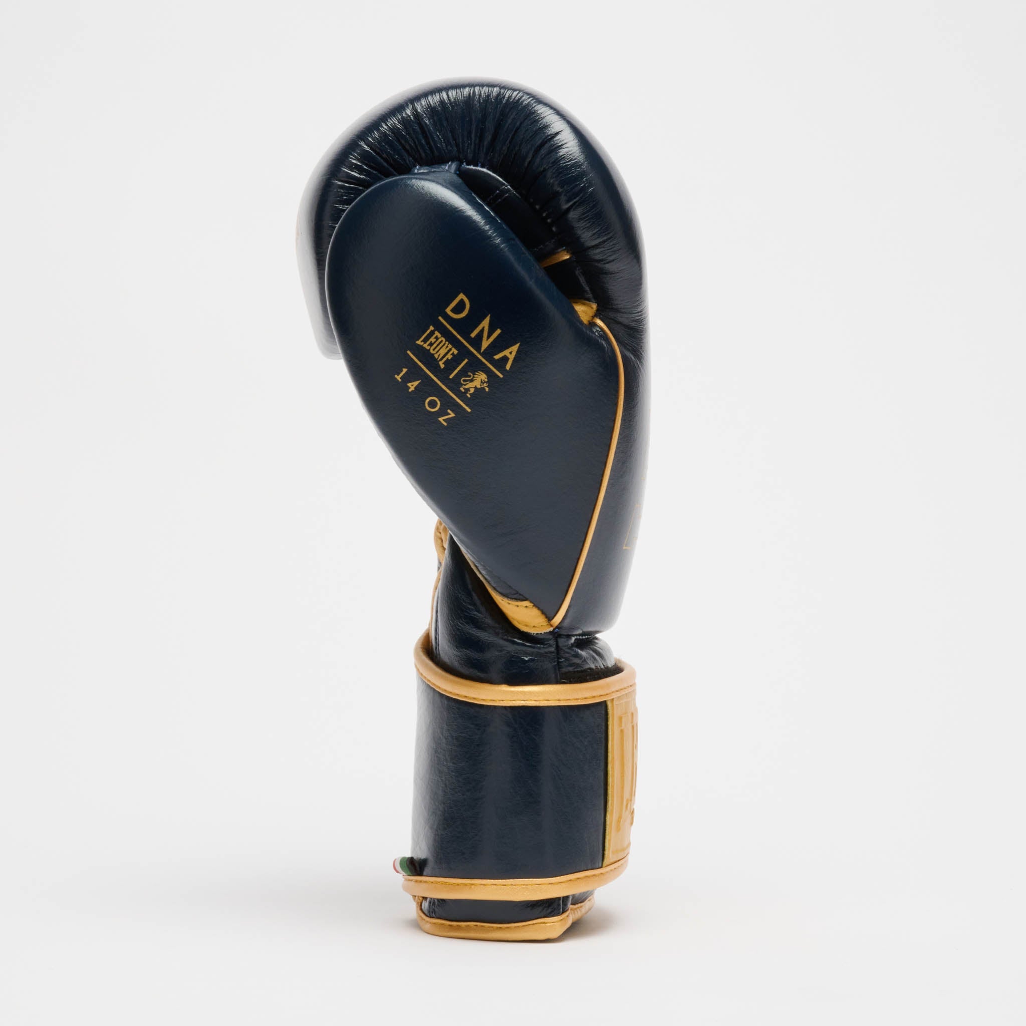 DNA PREMIUM BOXING GLOVES