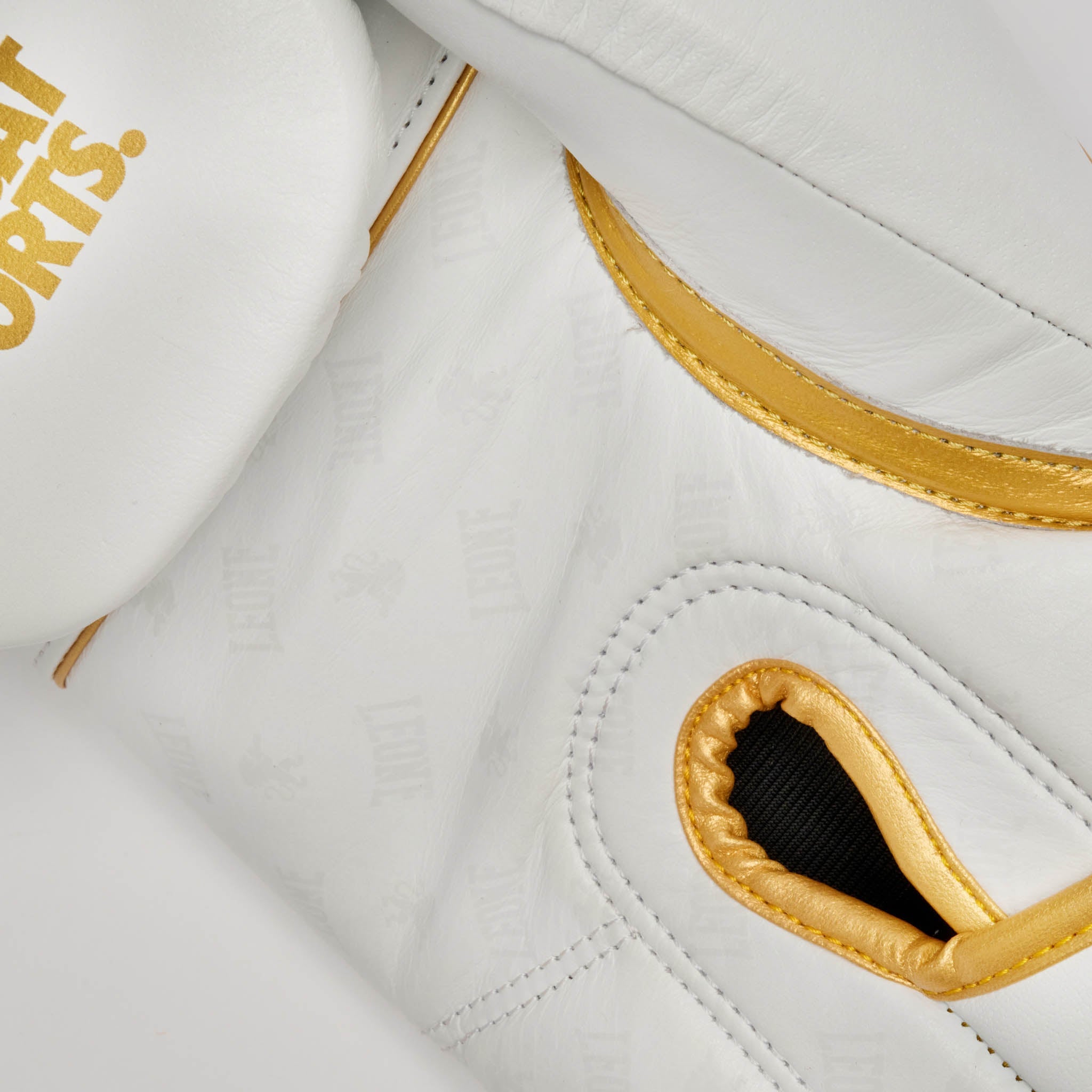 DNA PREMIUM BOXING GLOVES