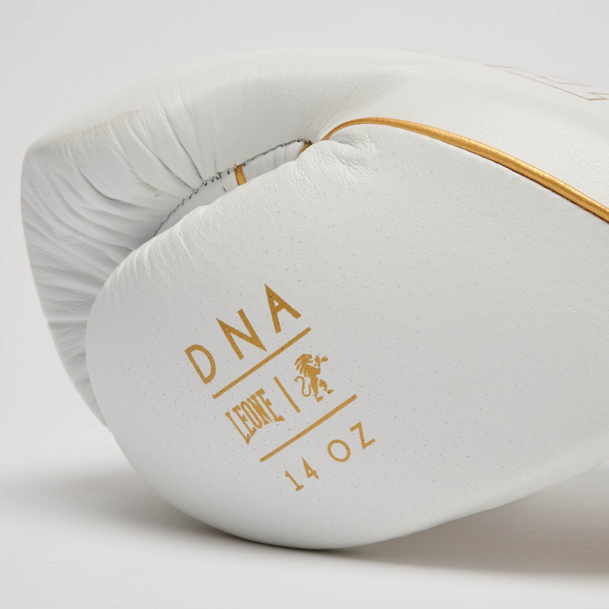 DNA PREMIUM BOXING GLOVES