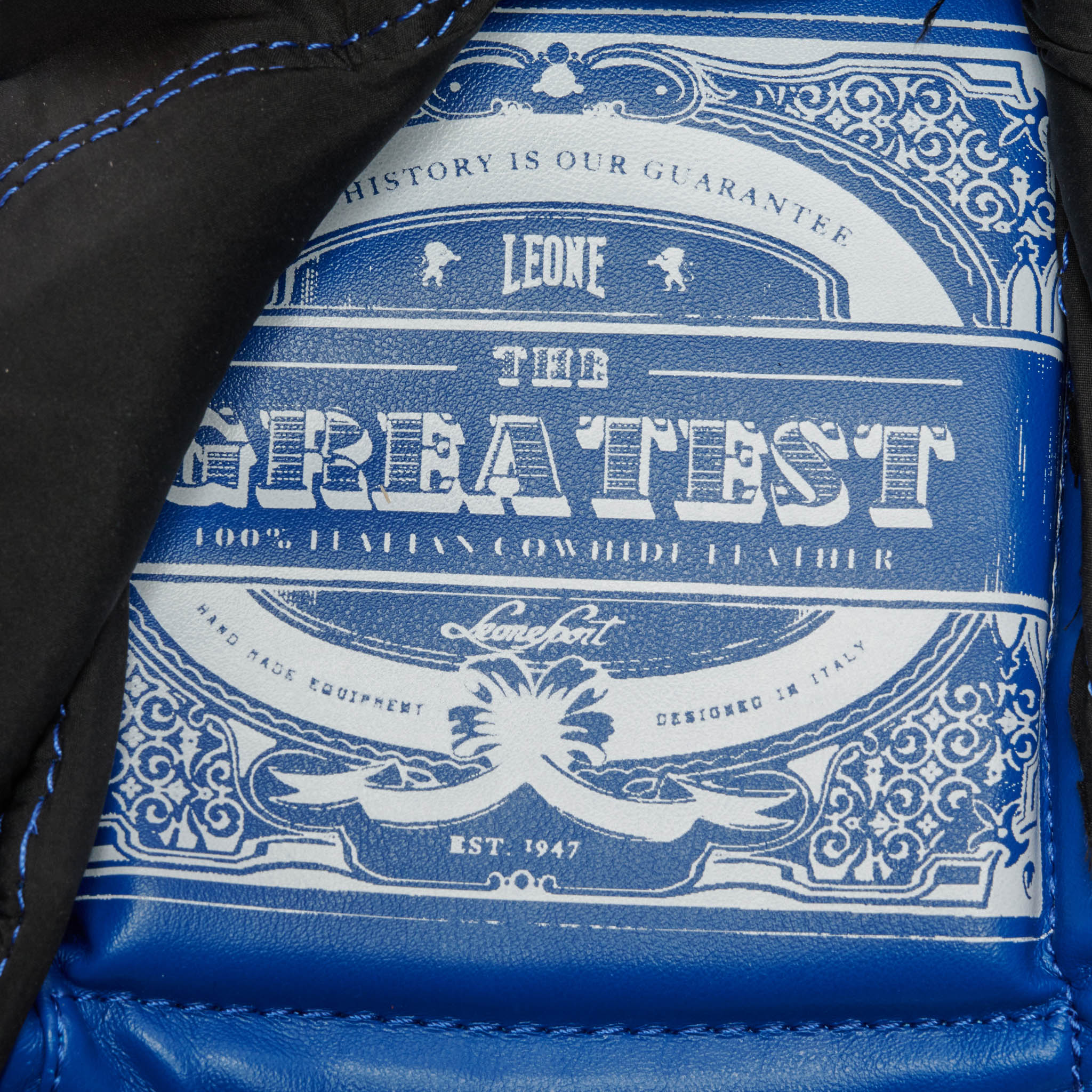 THE GREATEST BOXING GLOVES