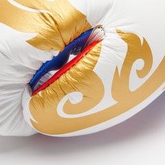 BOXING GLOVES THAI STYLE