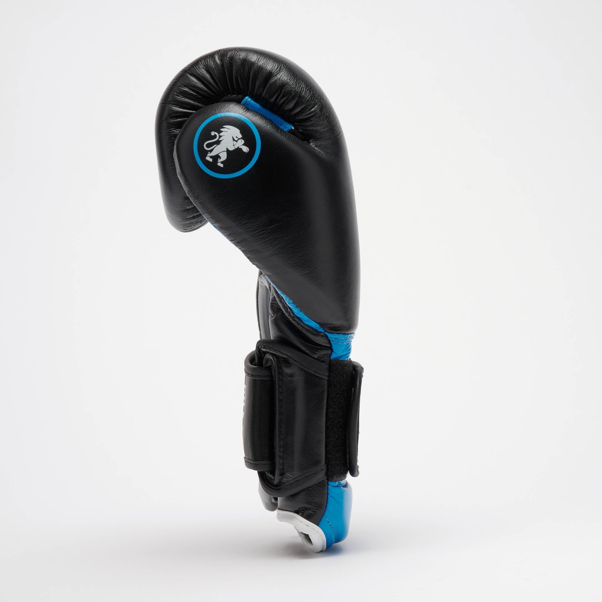 PROFESSIONAL 2 BOXING GLOVES