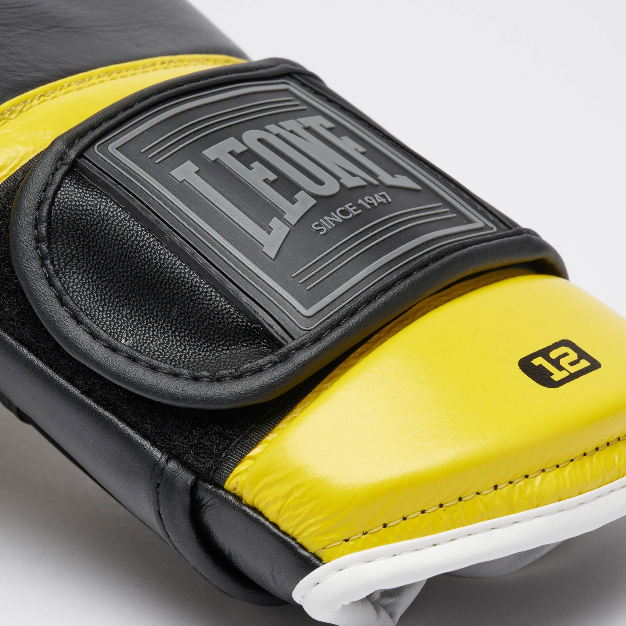 PROFESSIONAL 2 BOXING GLOVES