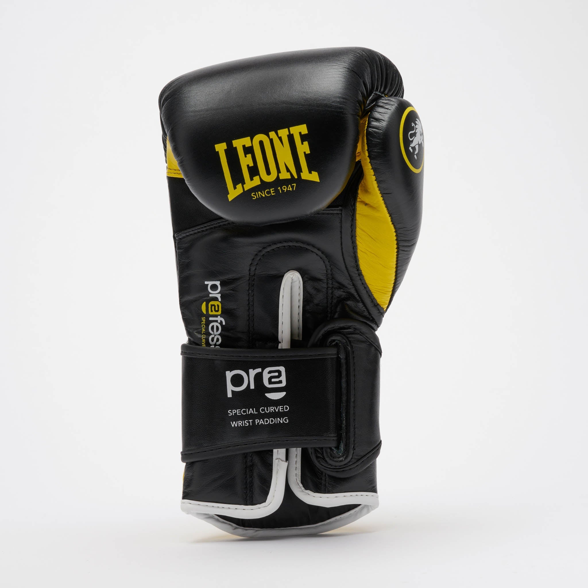PROFESSIONAL 2 BOXING GLOVES