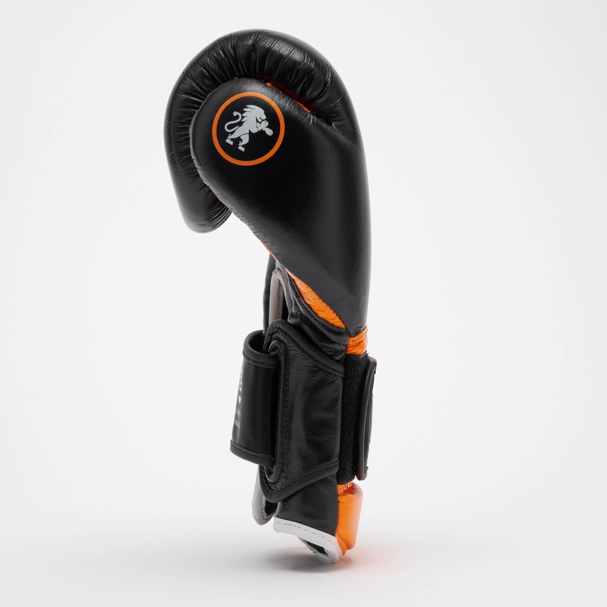 PROFESSIONAL 2 BOXING GLOVES