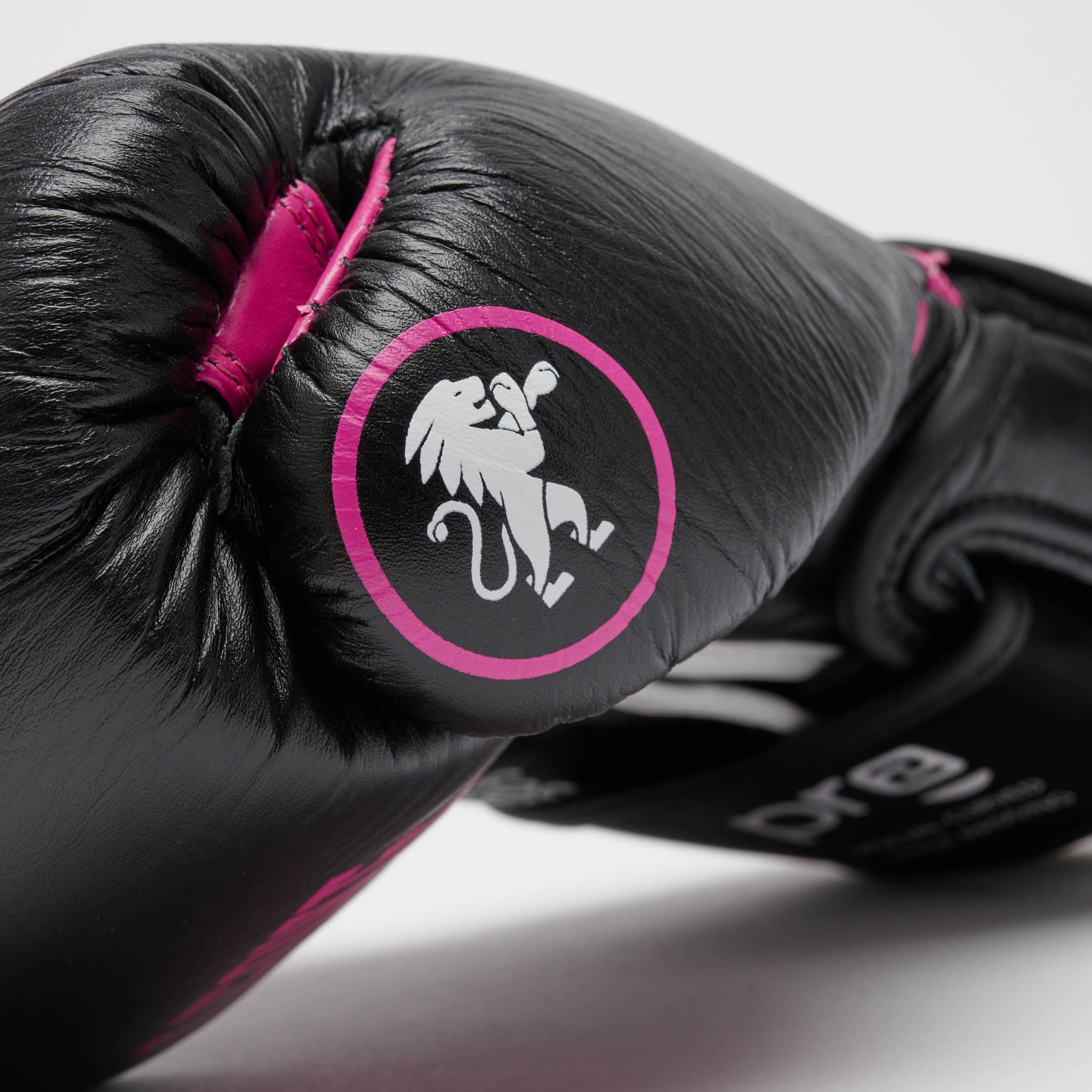 PROFESSIONAL 2 BOXING GLOVES