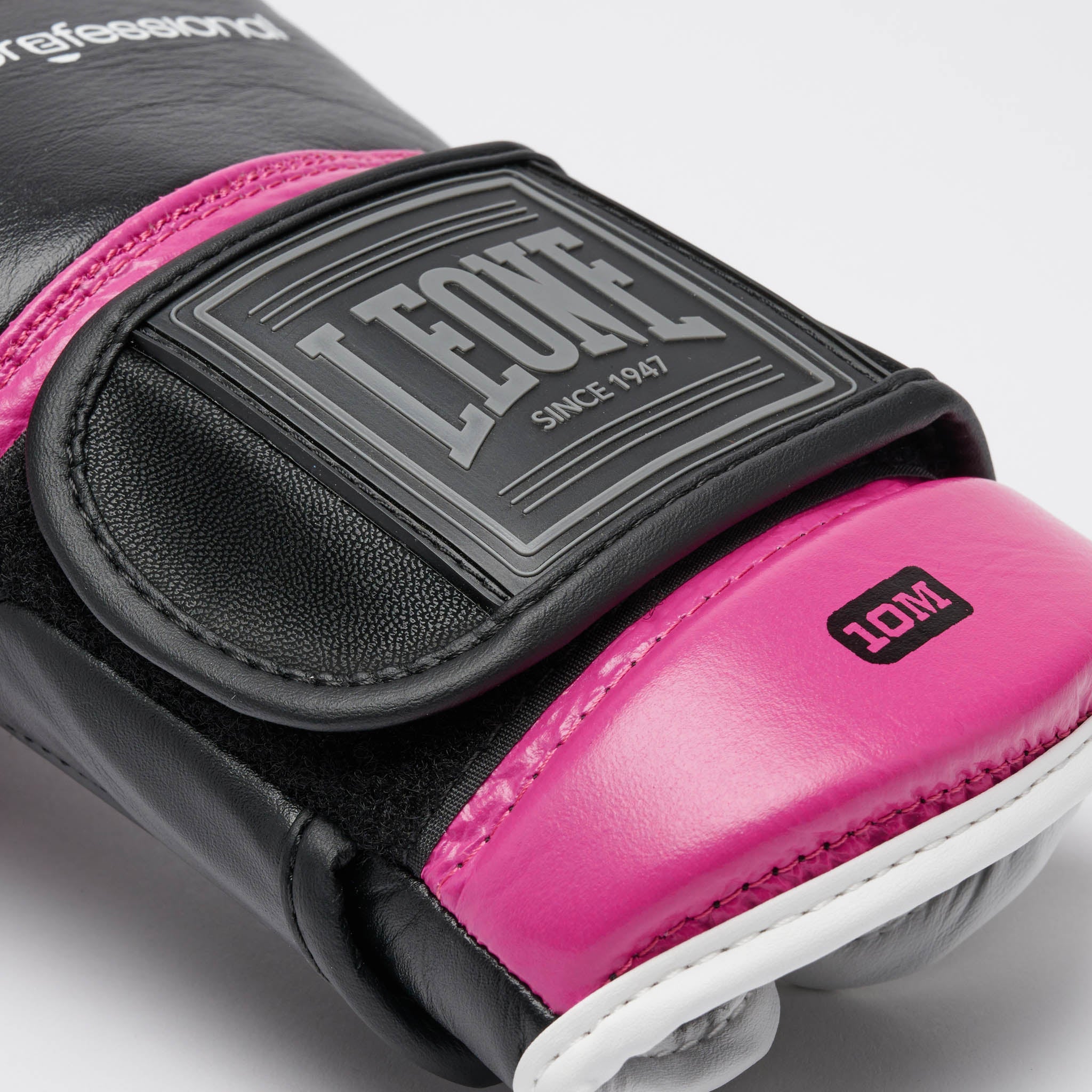 PROFESSIONAL 2 BOXING GLOVES