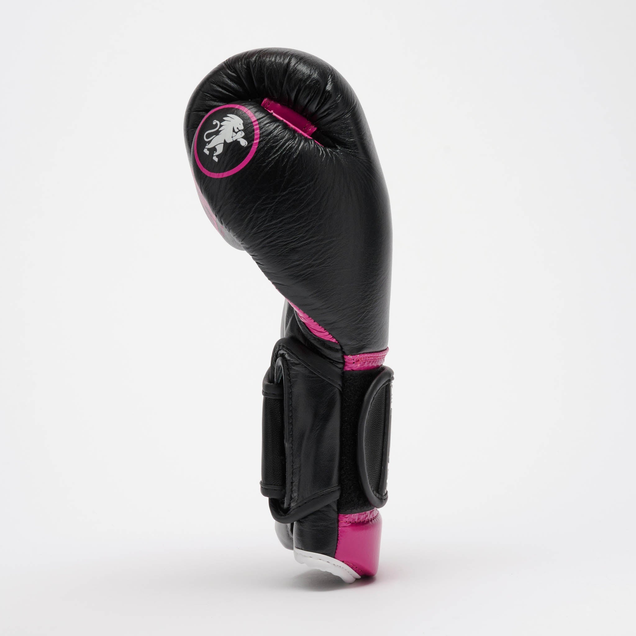 PROFESSIONAL 2 BOXING GLOVES