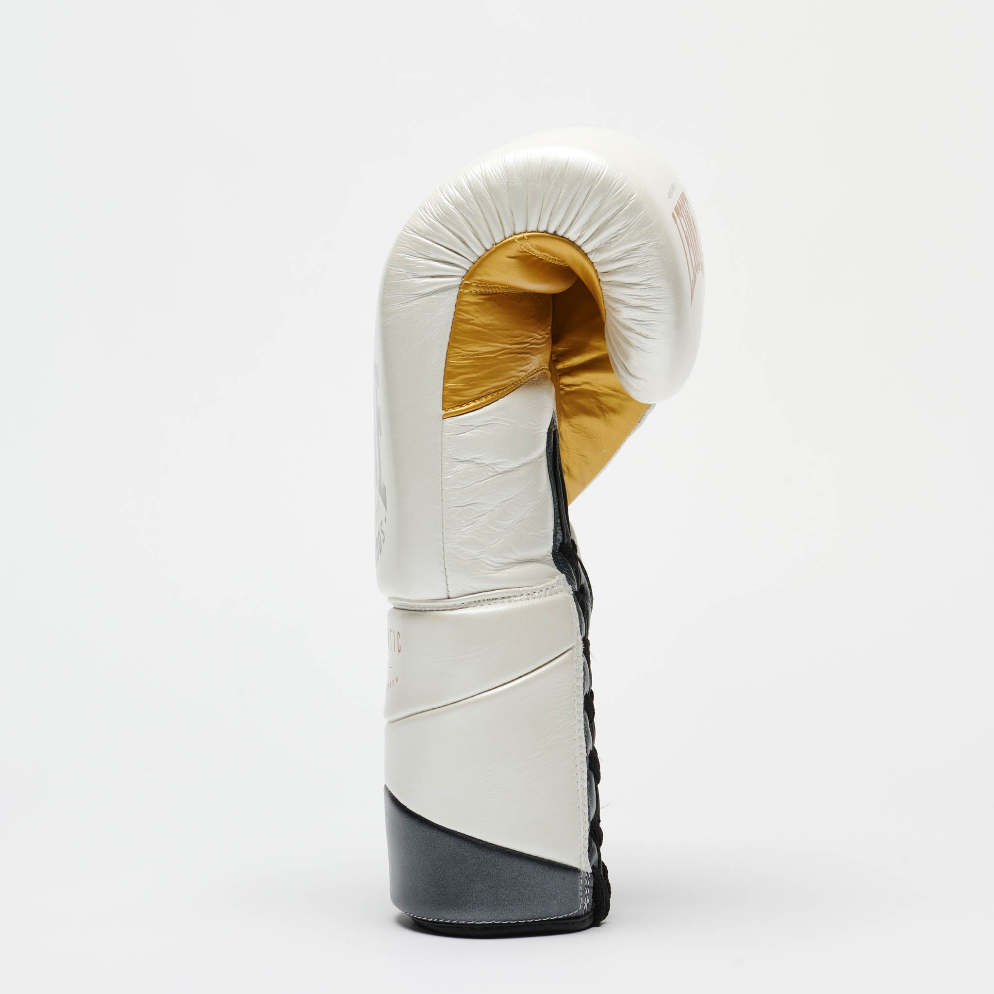 BOXING GLOVES AUTHENTIC 2