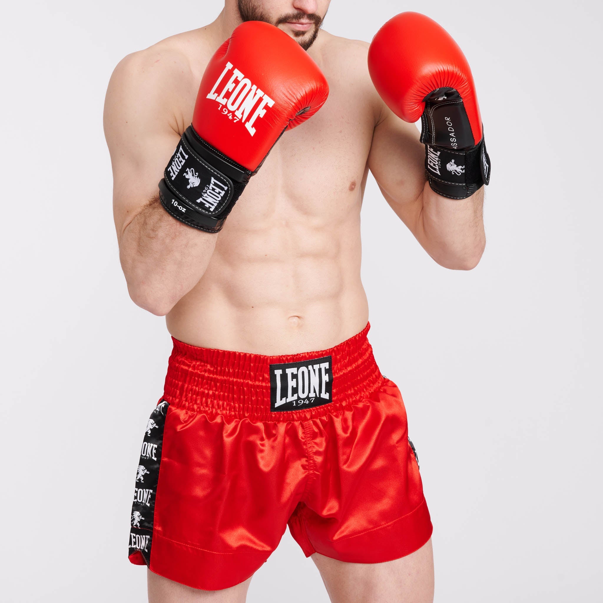 AMBASSADOR BOXING GLOVES