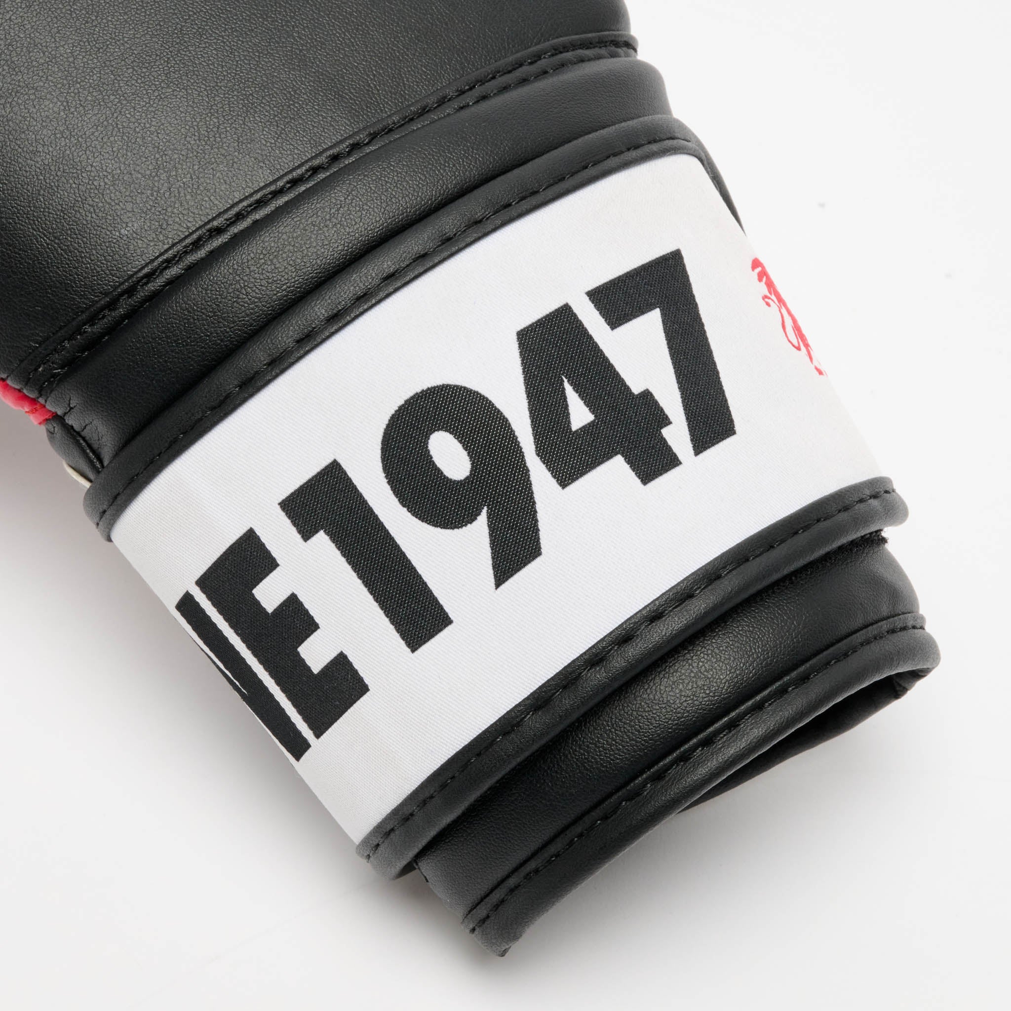 STRIPE '47 BOXING GLOVES