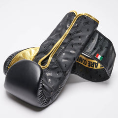 BOXING GLOVES DNA