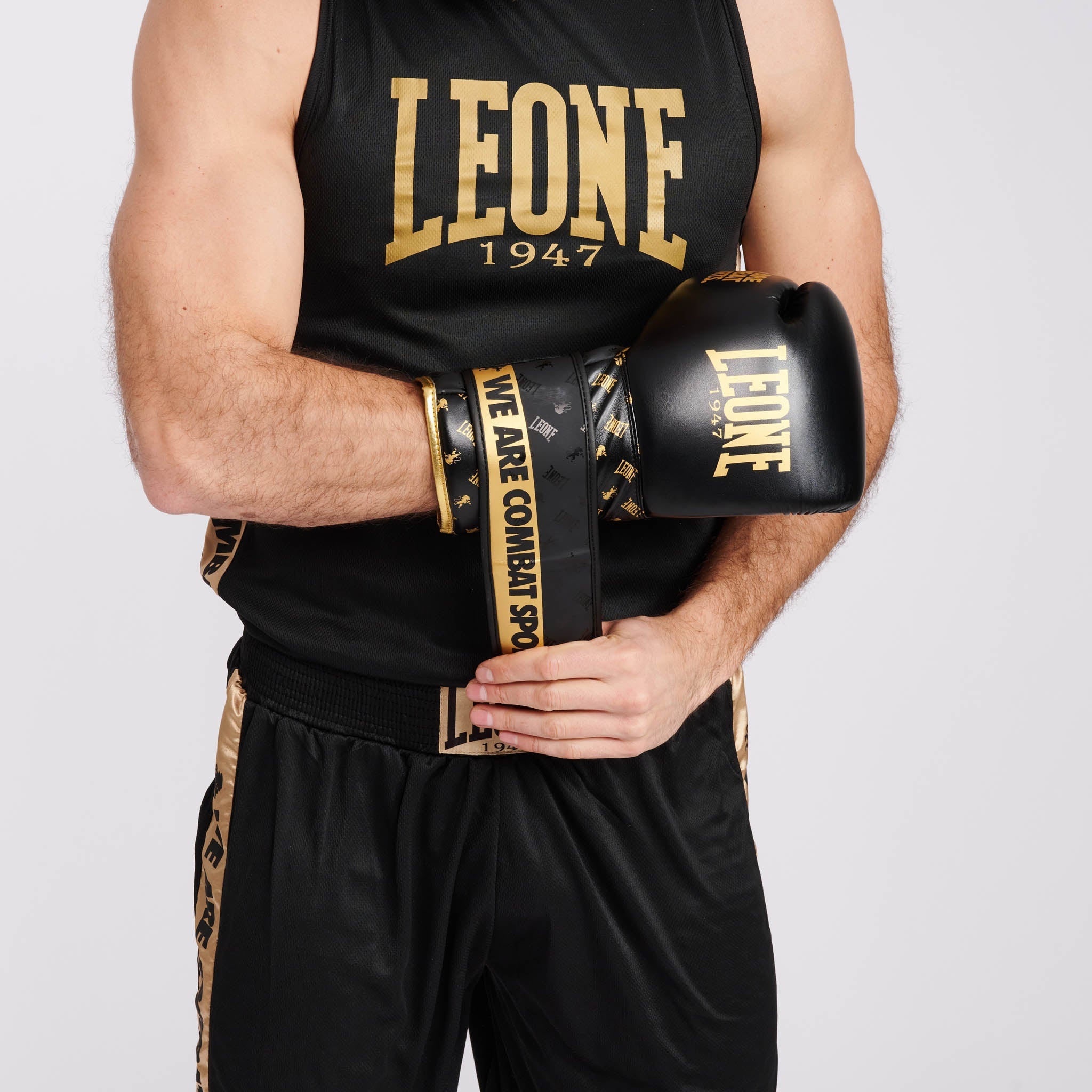BOXING GLOVES DNA