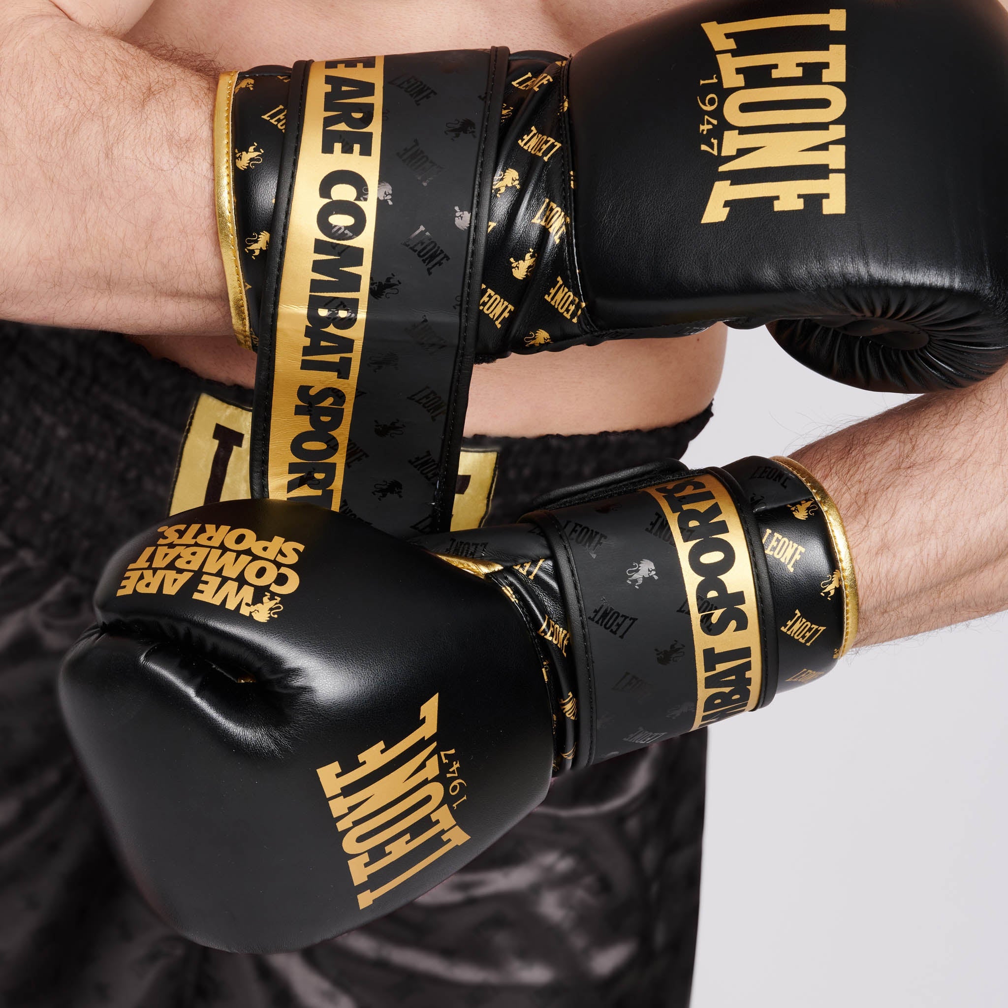 BOXING GLOVES DNA