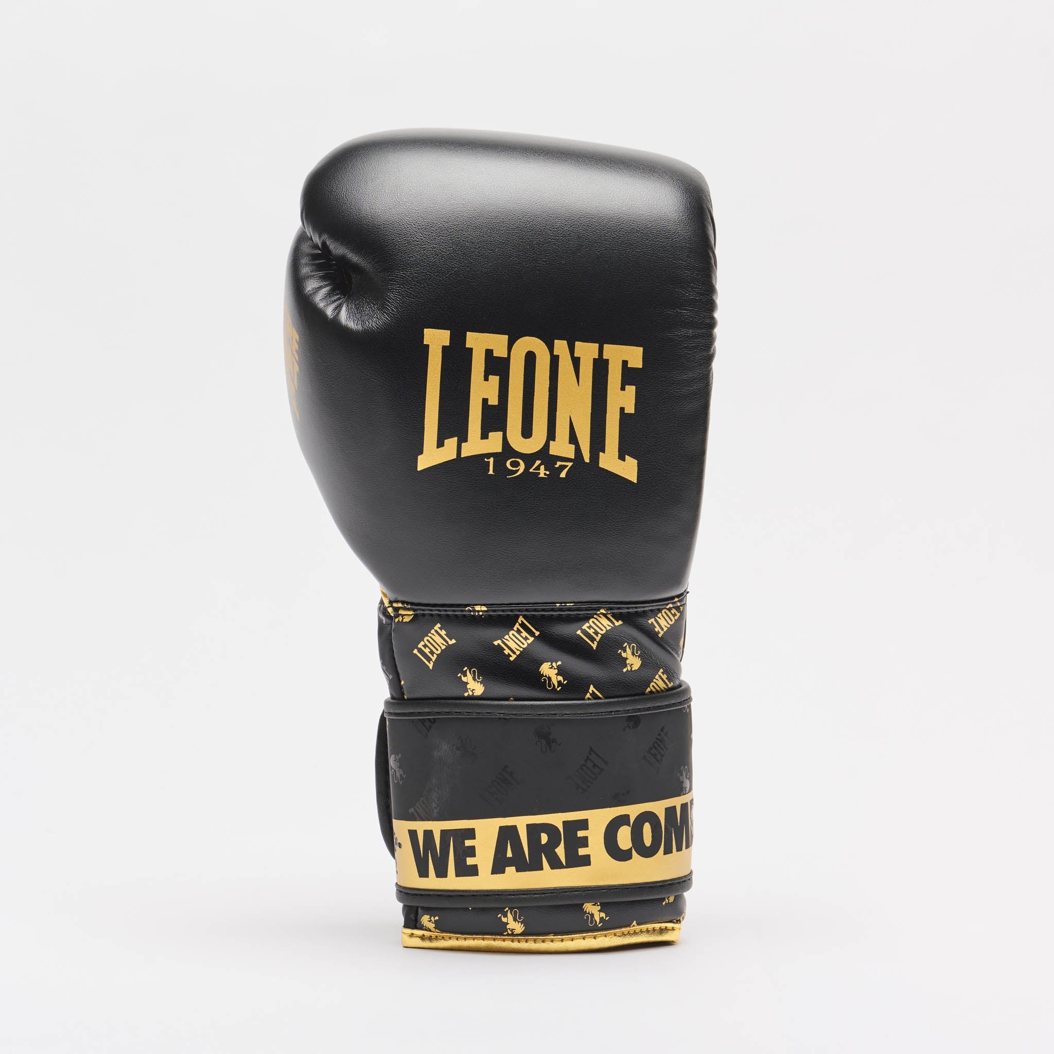 BOXING GLOVES DNA