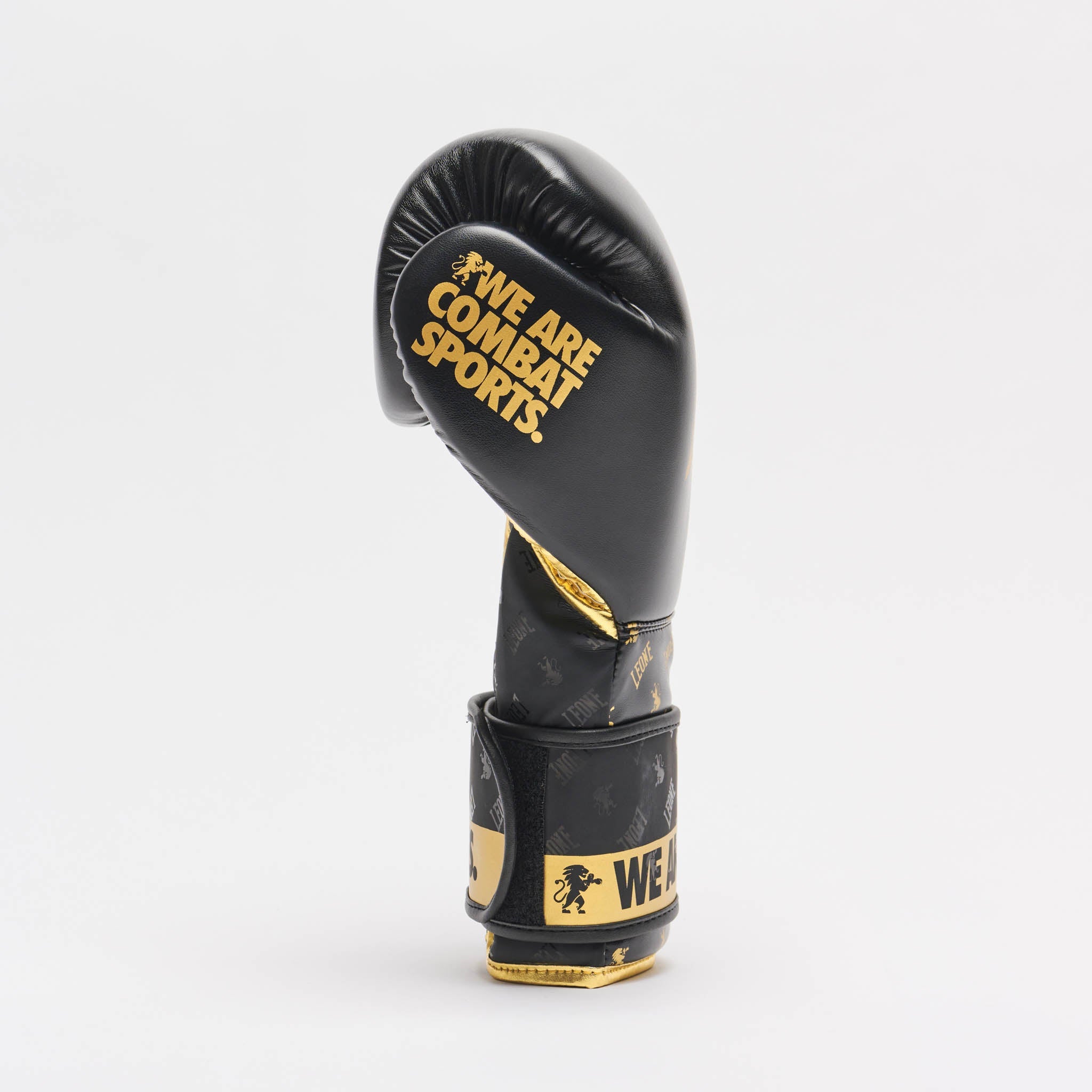 BOXING GLOVES DNA