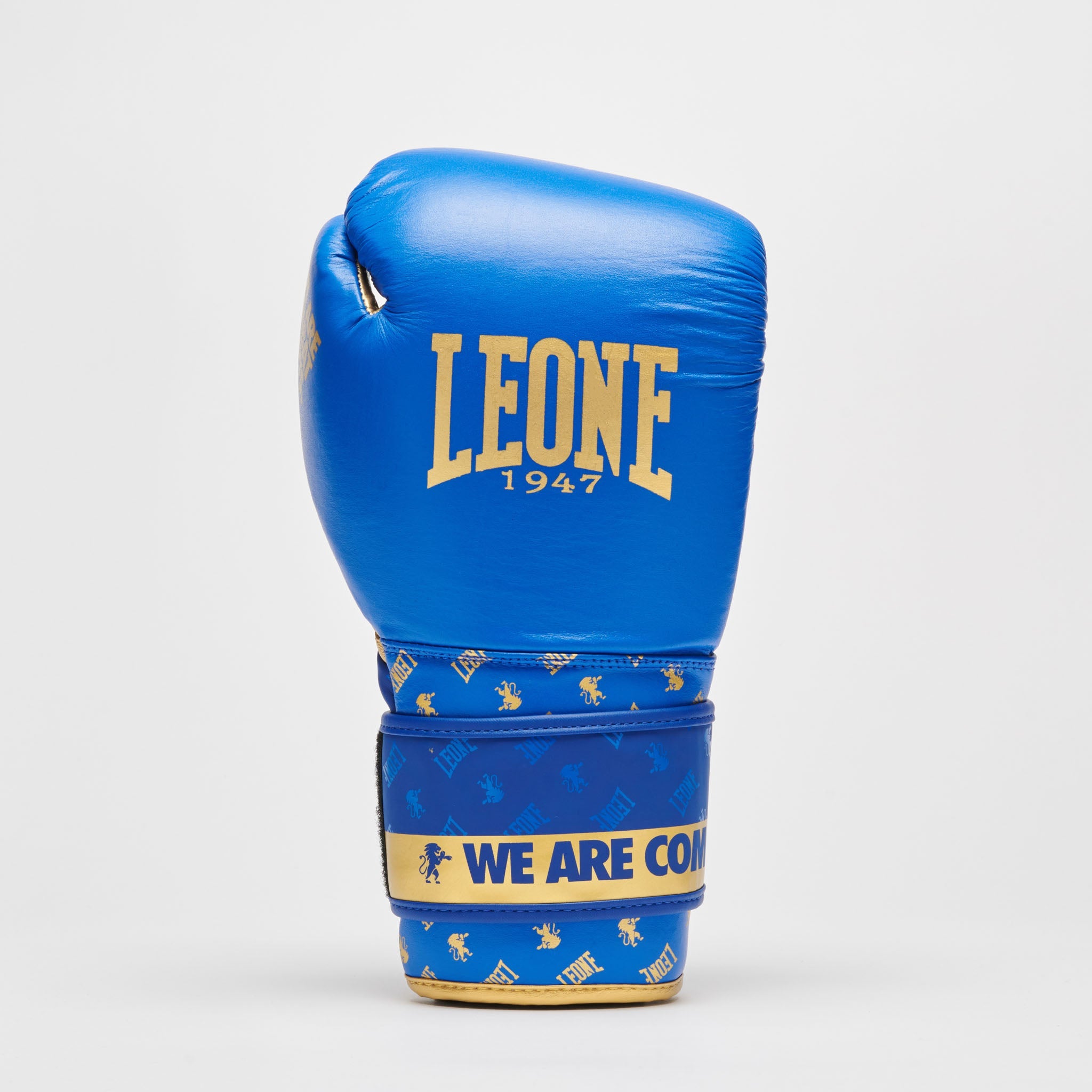 BOXING GLOVES DNA