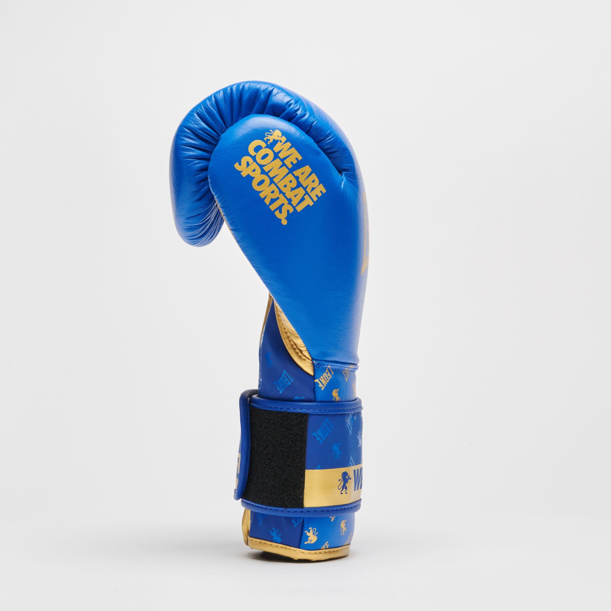 BOXING GLOVES DNA