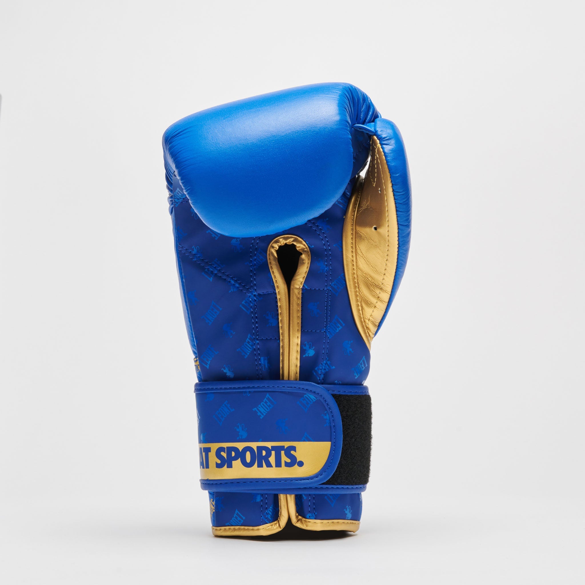 BOXING GLOVES DNA