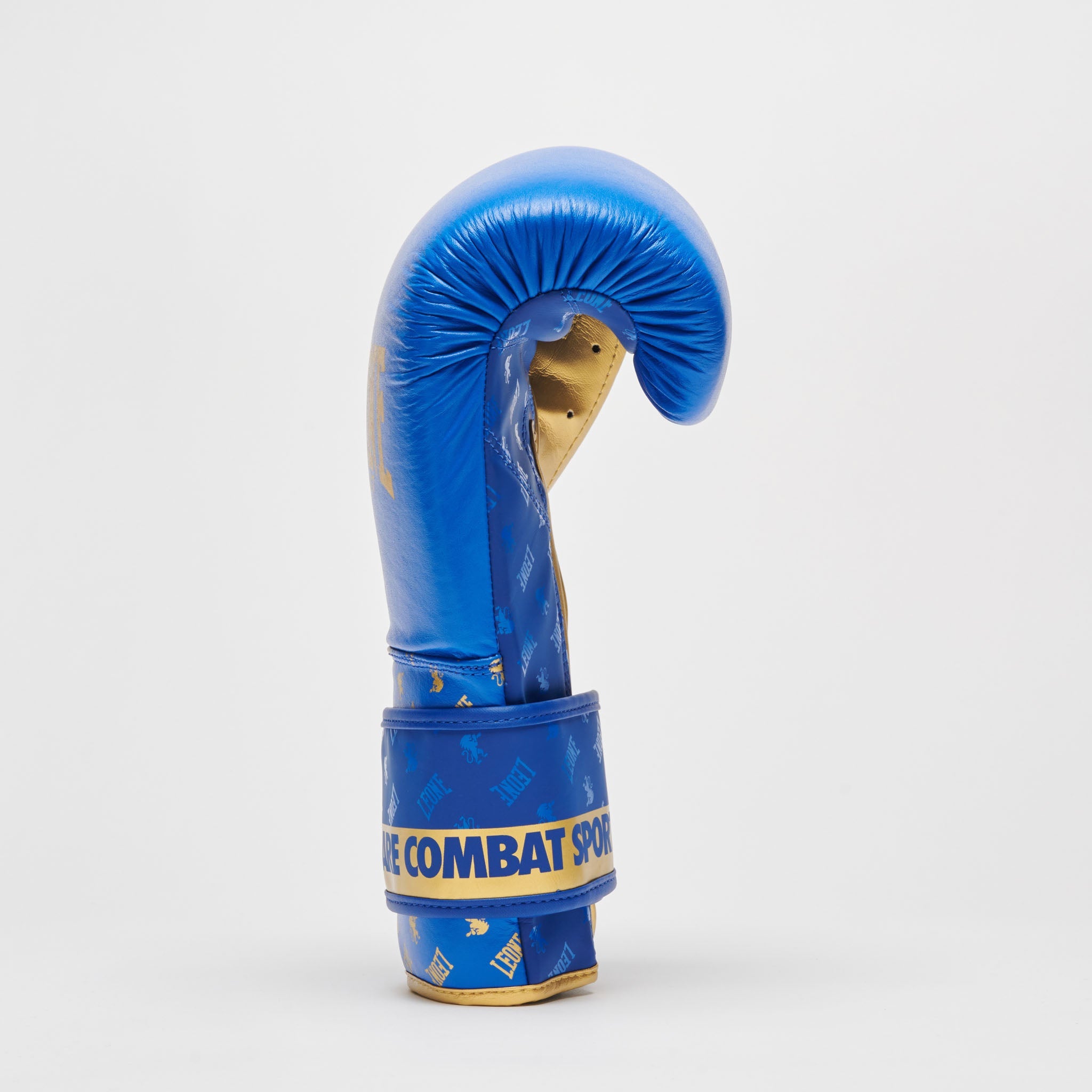 BOXING GLOVES DNA
