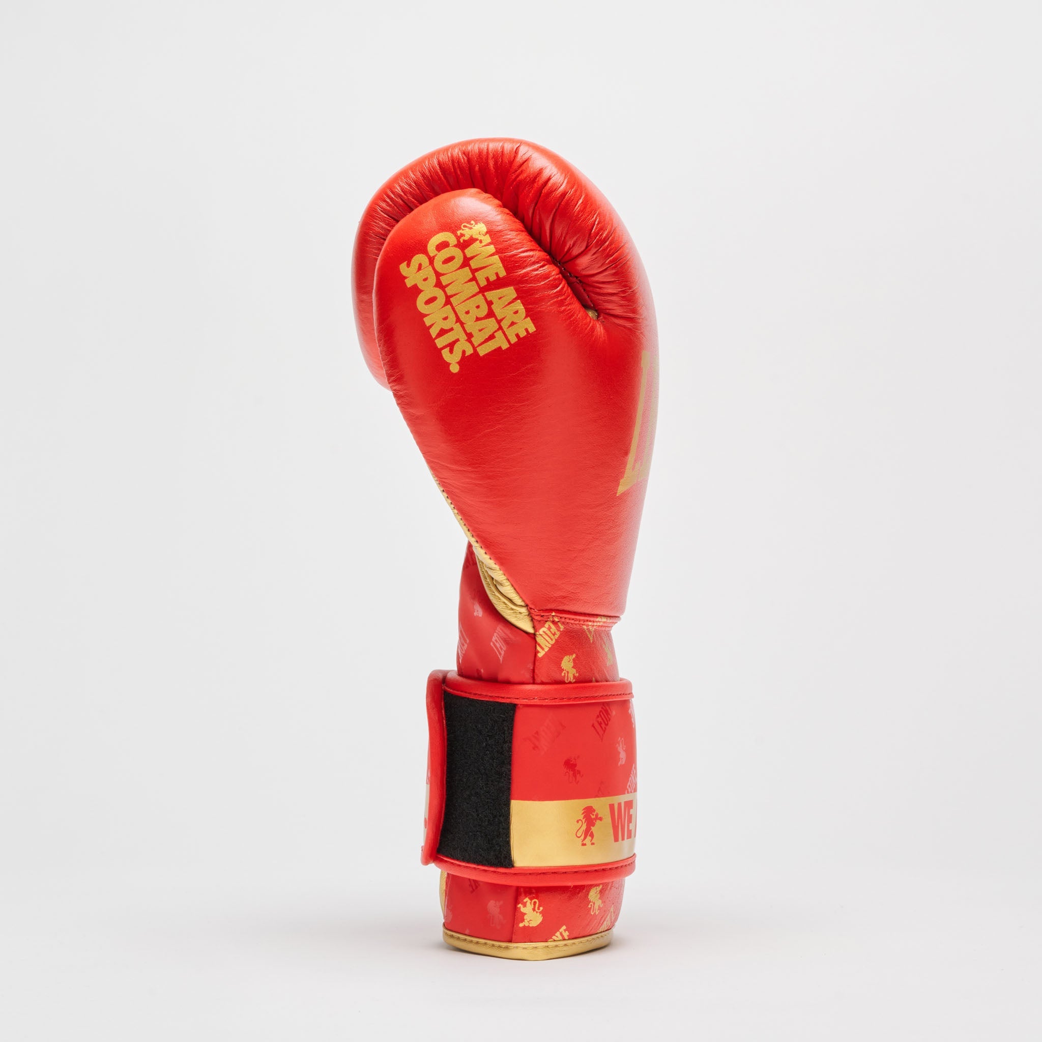 BOXING GLOVES DNA