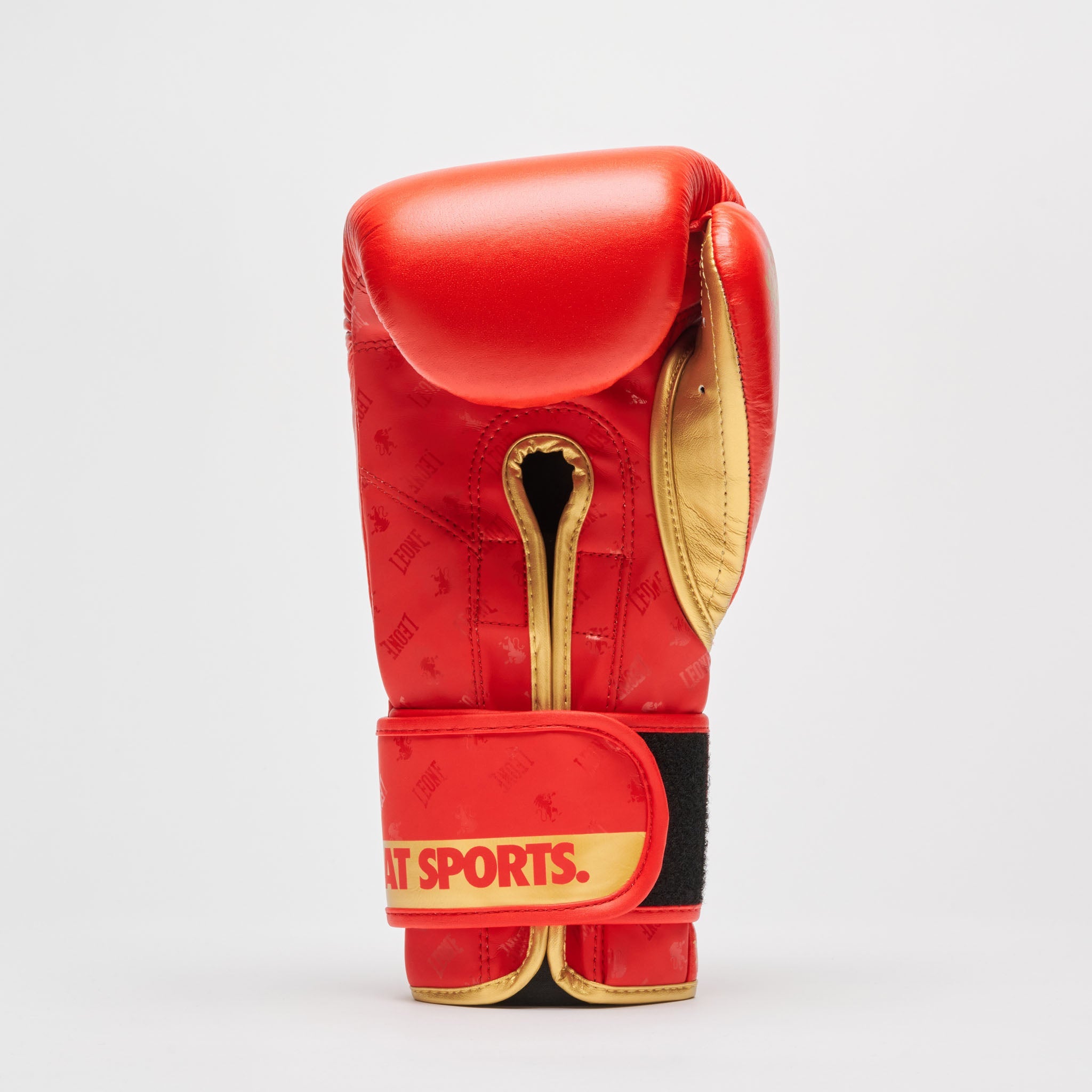 BOXING GLOVES DNA
