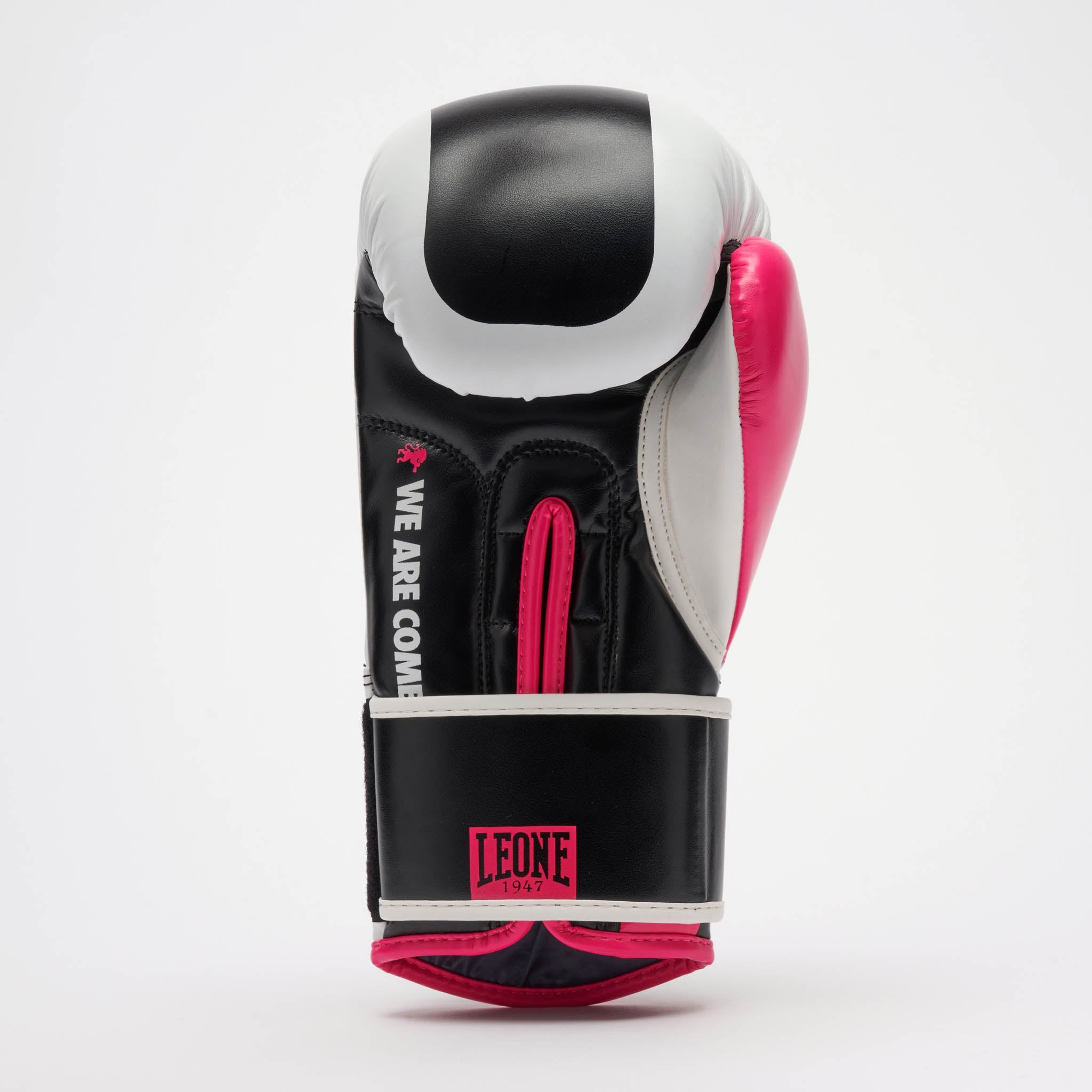 COLOR BLOCK BOXING GLOVES