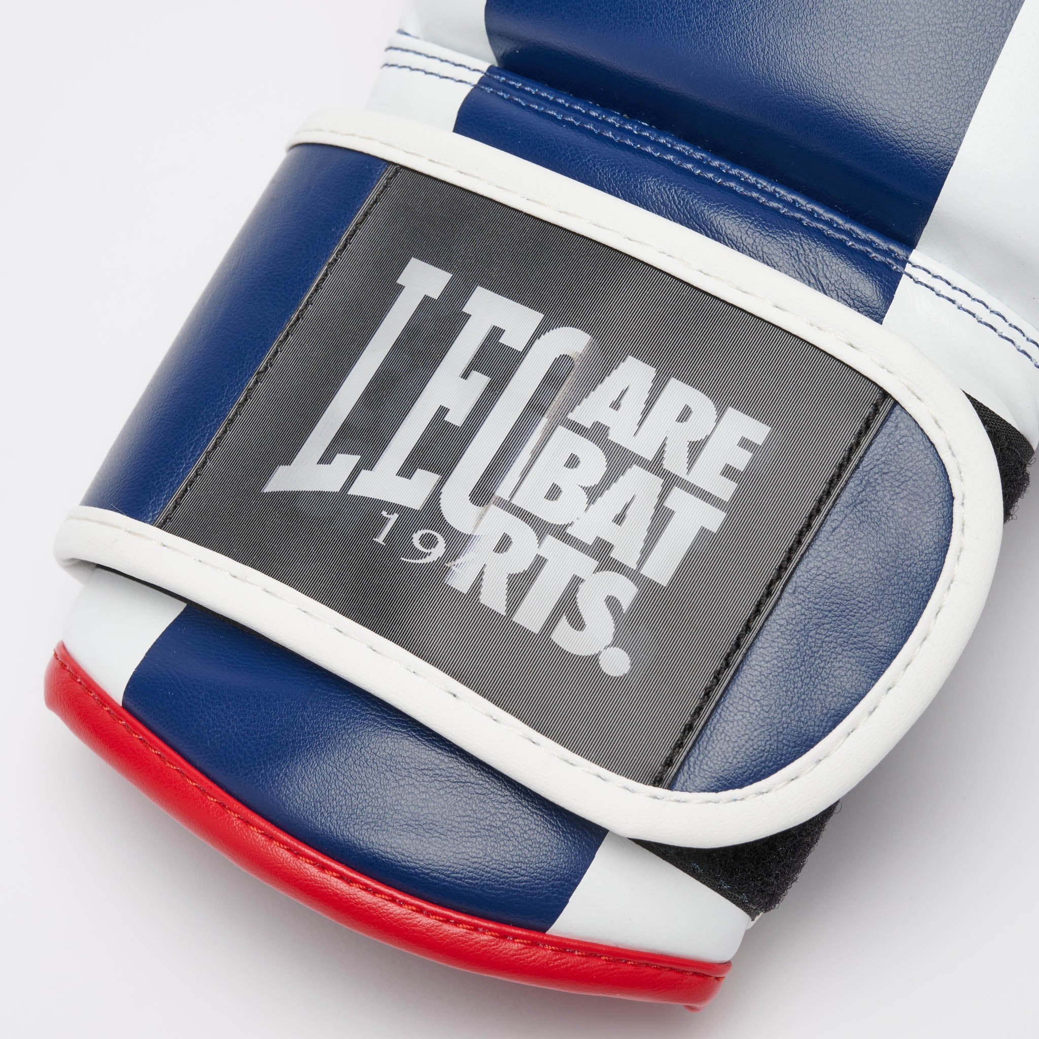 COLOR BLOCK BOXING GLOVES