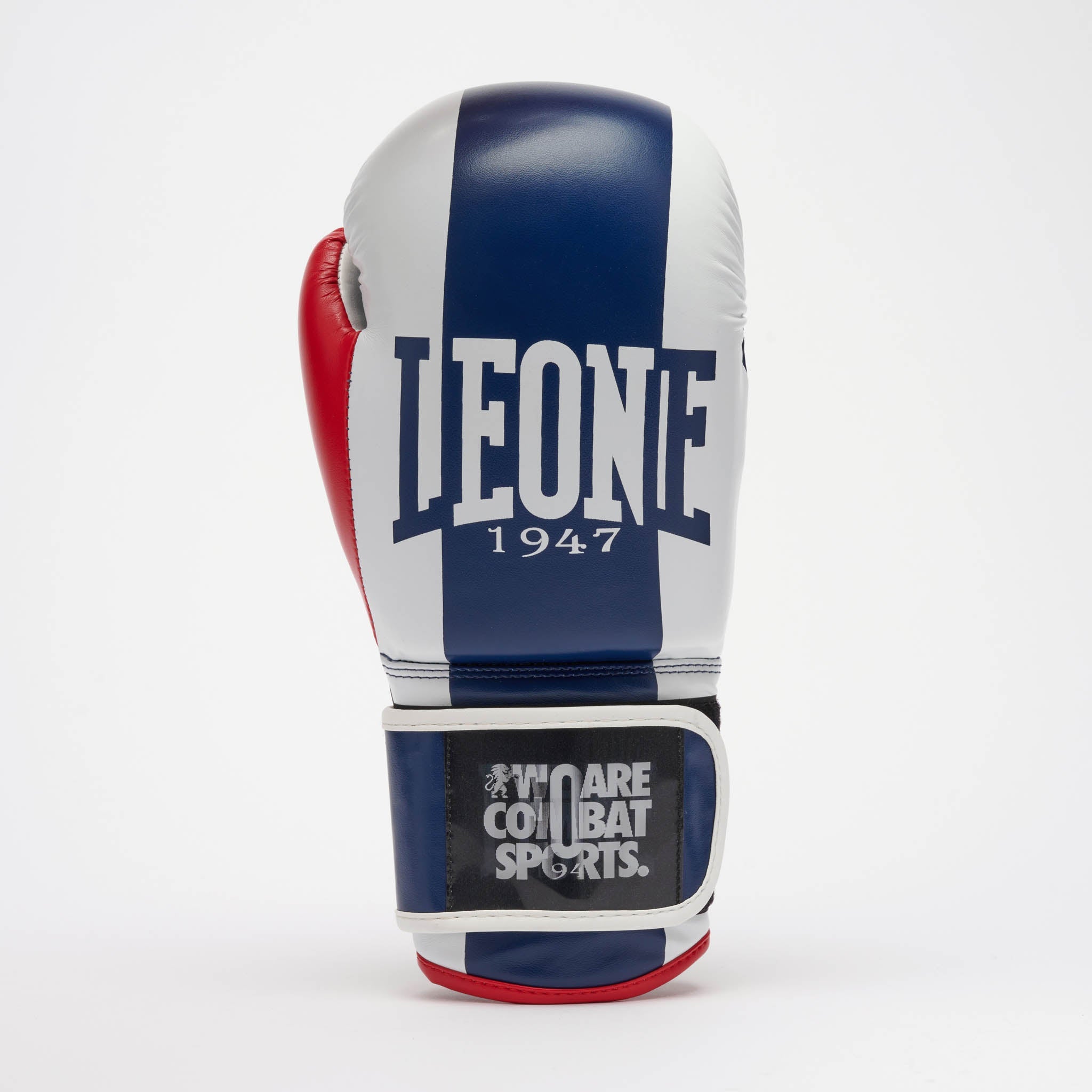 COLOR BLOCK BOXING GLOVES