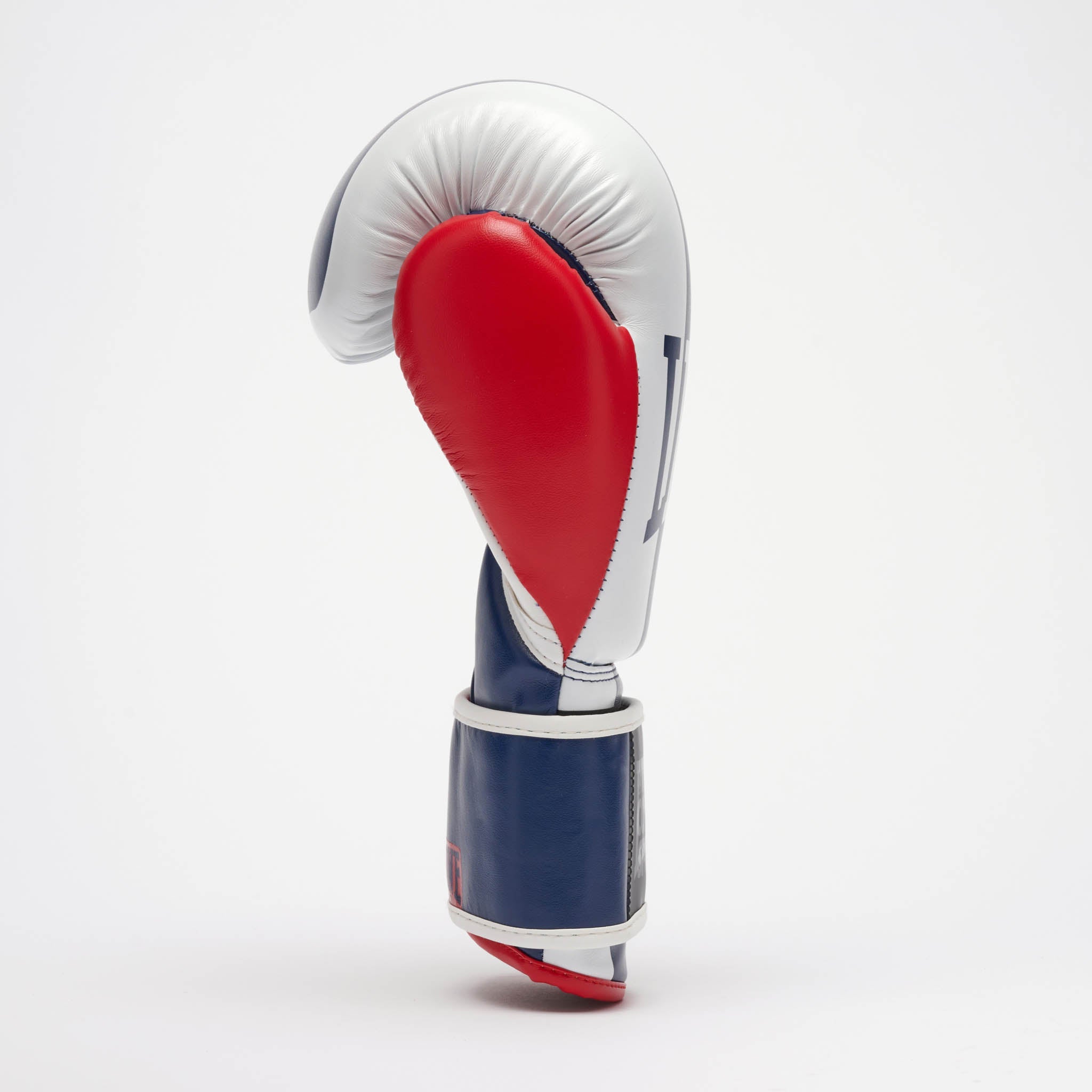 COLOR BLOCK BOXING GLOVES