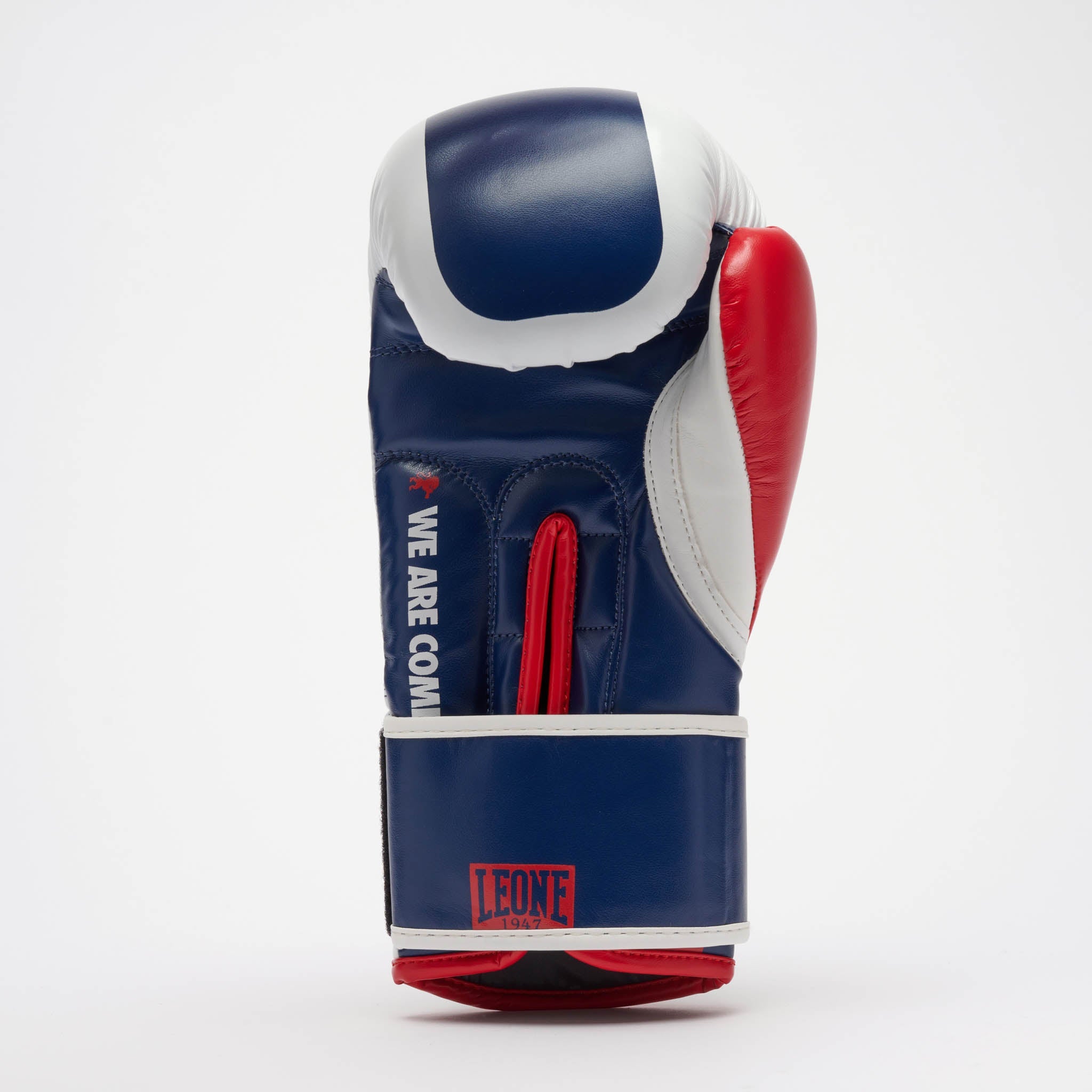 COLOR BLOCK BOXING GLOVES