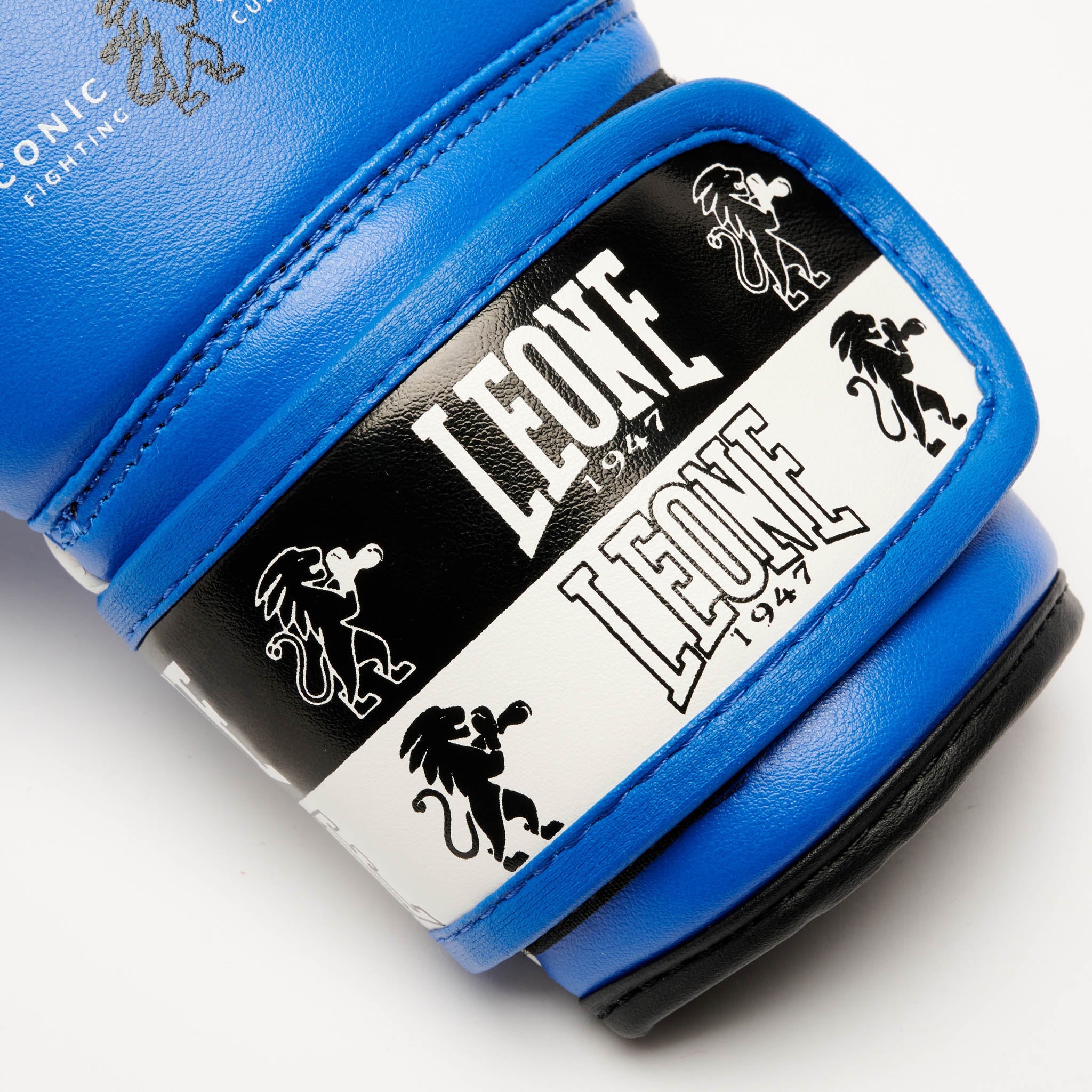 ICONIC BOXING GLOVES