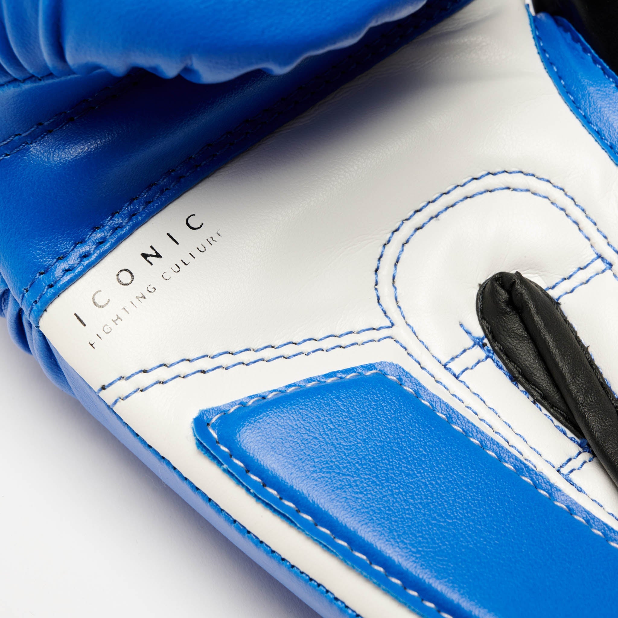 ICONIC BOXING GLOVES