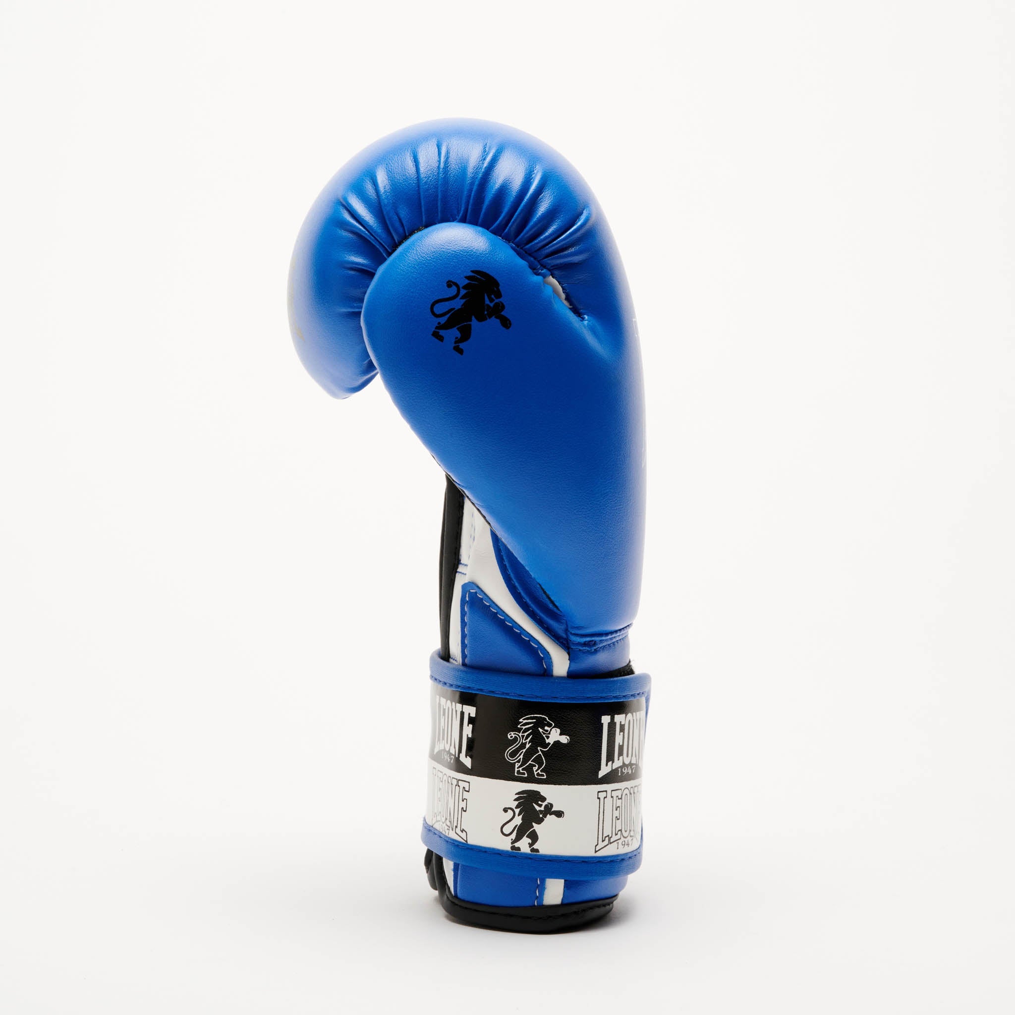 ICONIC BOXING GLOVES