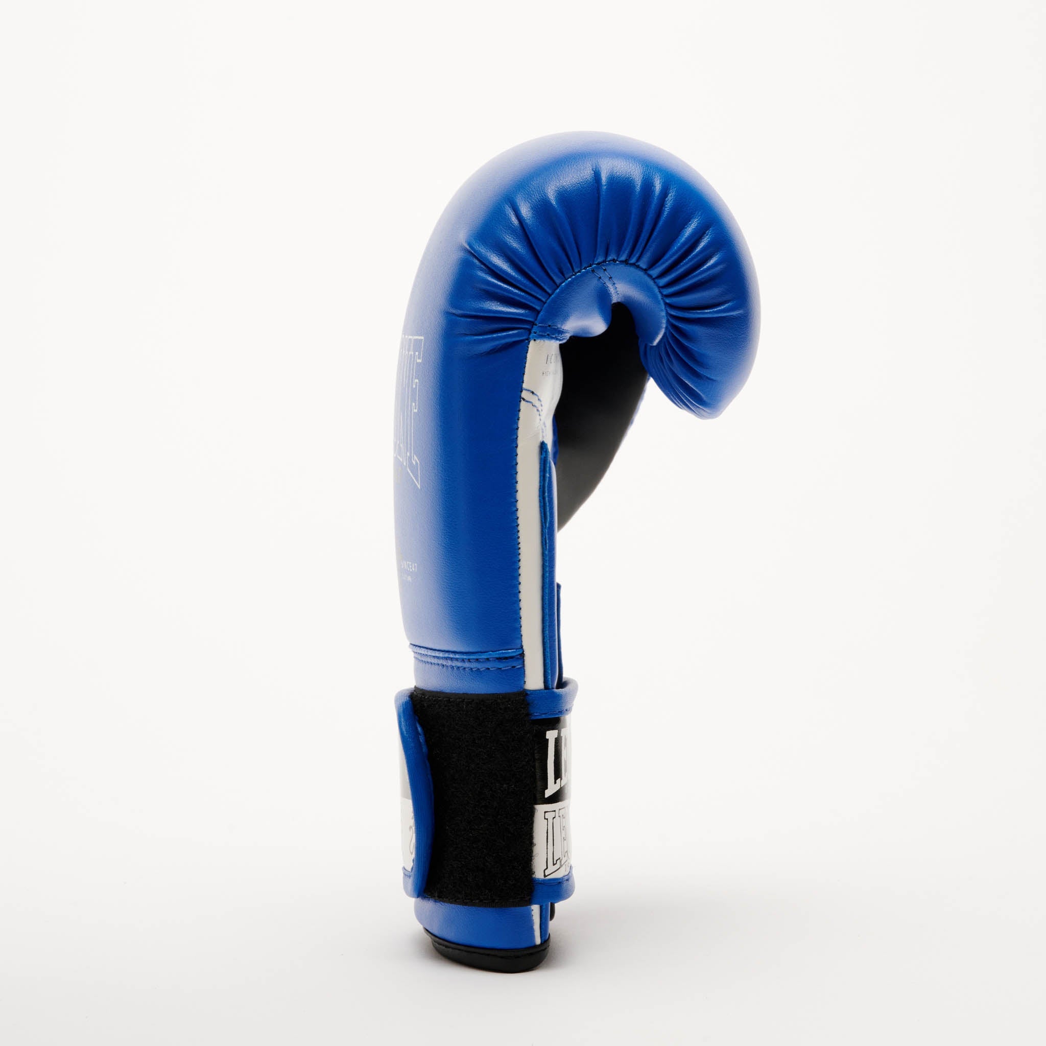 ICONIC BOXING GLOVES