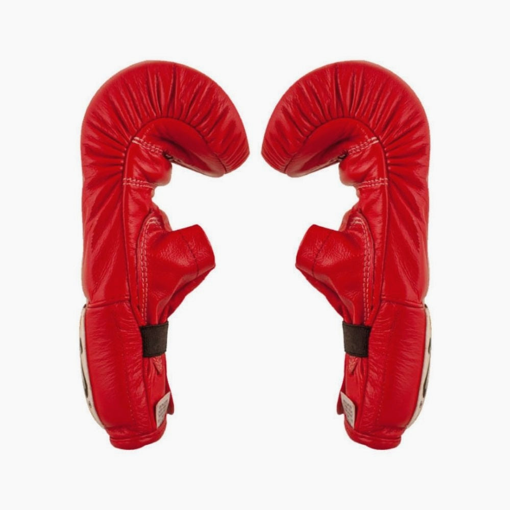 Boxsack-Handschuhe Cleto Reyes Rot