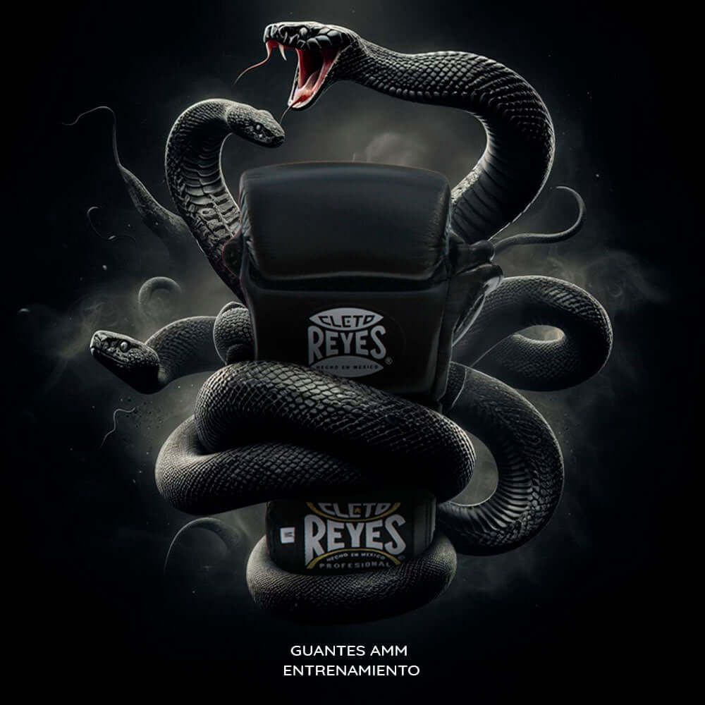 MMA-Handschuhe Cleto Reyes Black Mamba Training