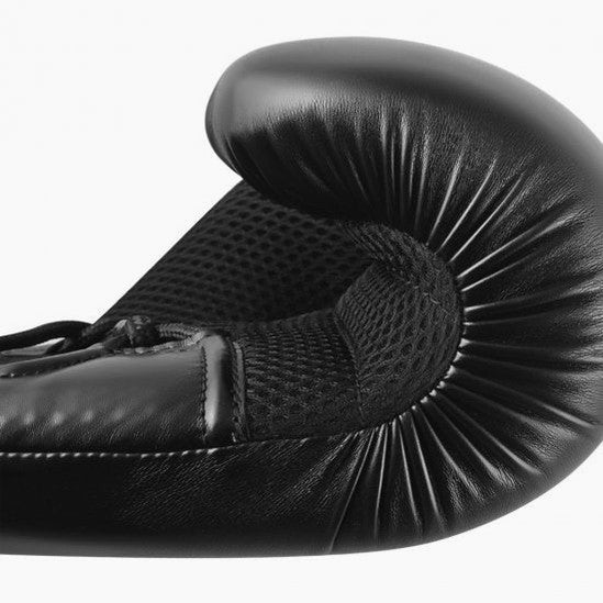 Boxhandschuhe Adidas Hybrid 250 Training