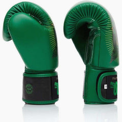 Muay Thai Handschuhe Fairtex Resurrection