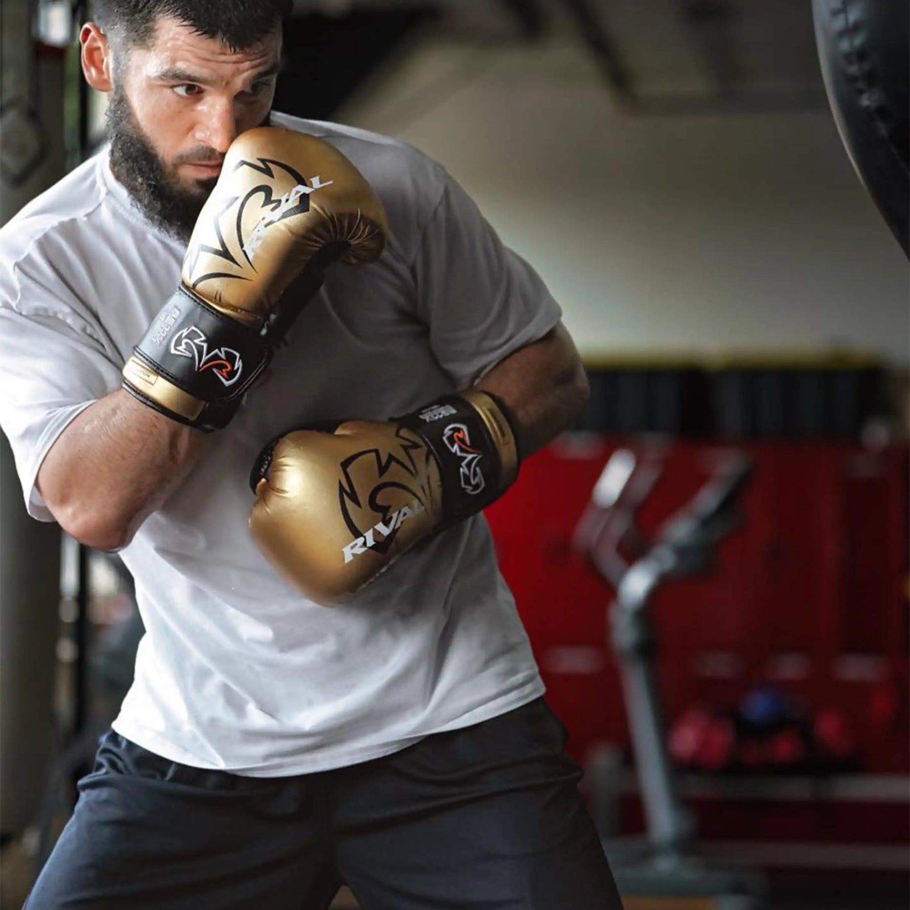 Boxhandschuhe Rival Evolution Sparring RS11V