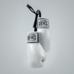 Kit Cleto Reyes Mini Sack und Handschuhe