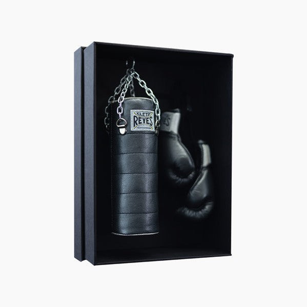 Kit Cleto Reyes Mini Sack und Handschuhe