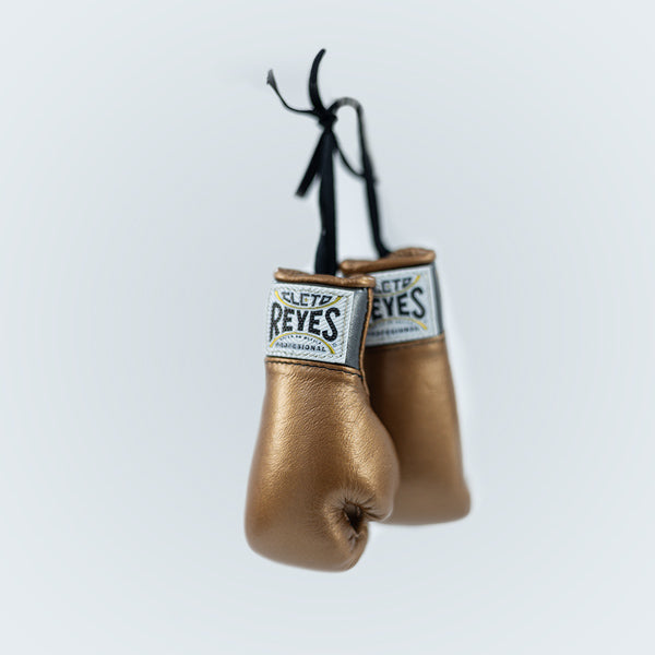 Kit Cleto Reyes Mini Sack und Handschuhe