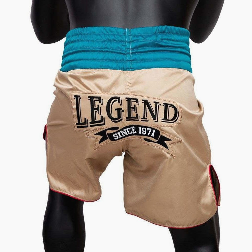 Boxhose Fairtex BT2010 Vintage