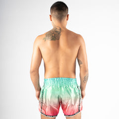 Kick-Thai Shorts 8 Weapons Vivo