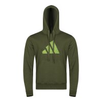 adidas Perfo Script Graphic Hoody COMBAT SPORTS green